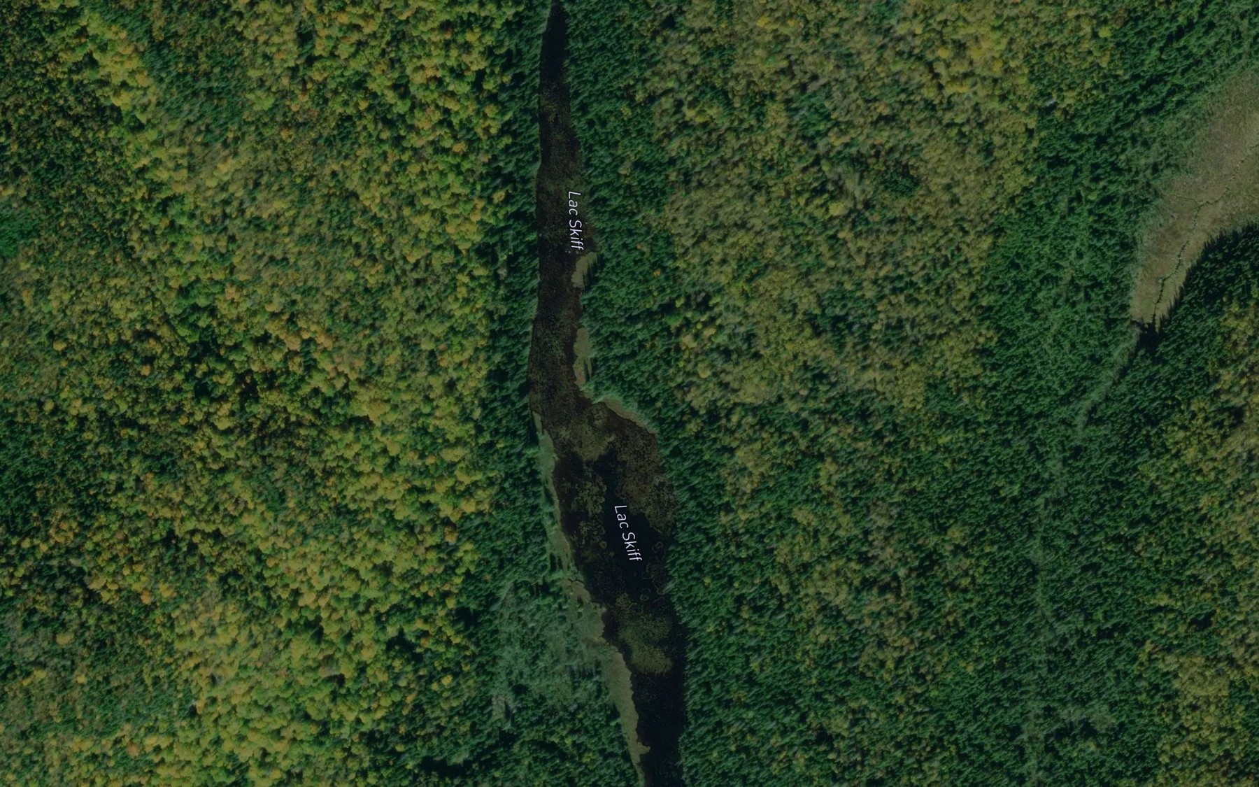 Satellite map of the Lac Skiff