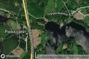 Heinjoki