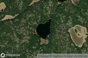 Puppy Lake