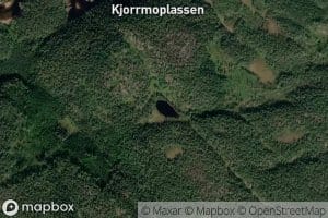 Gamle Oygardstjonn