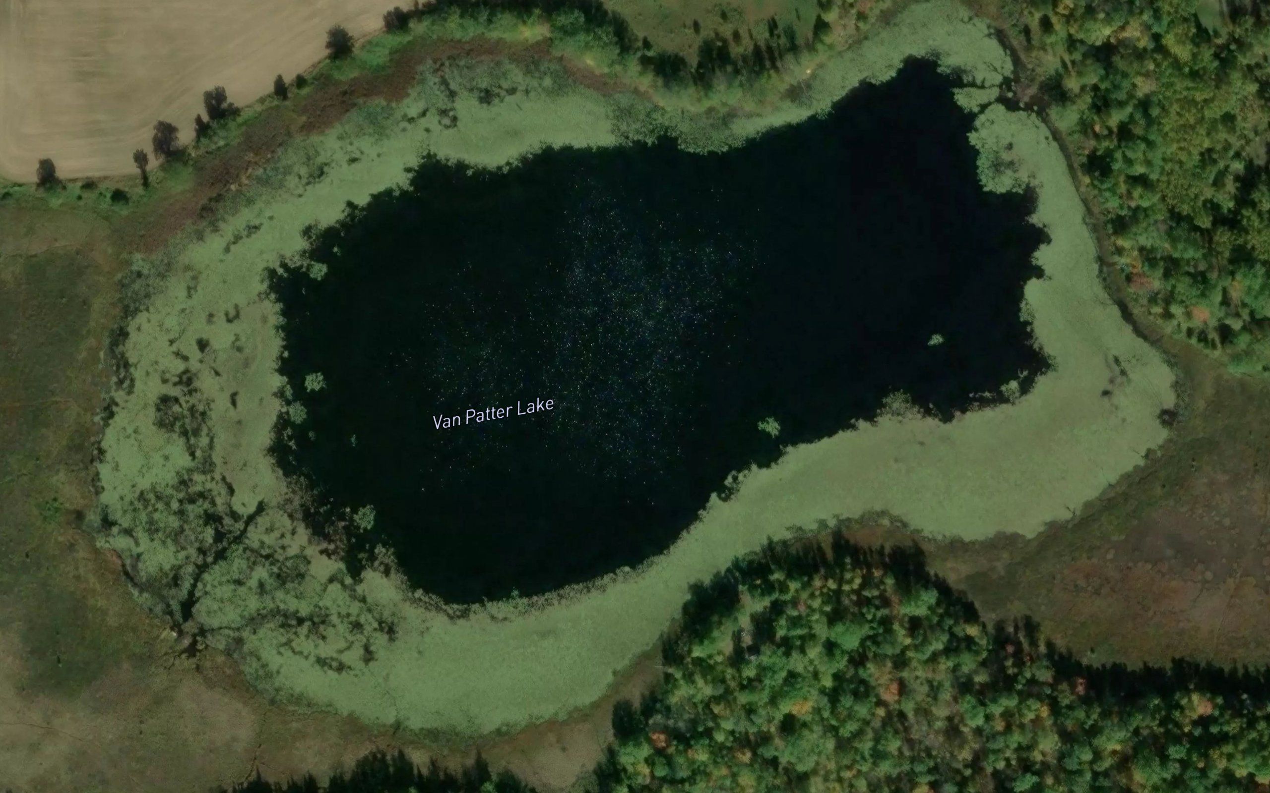 Van Patter Lake
