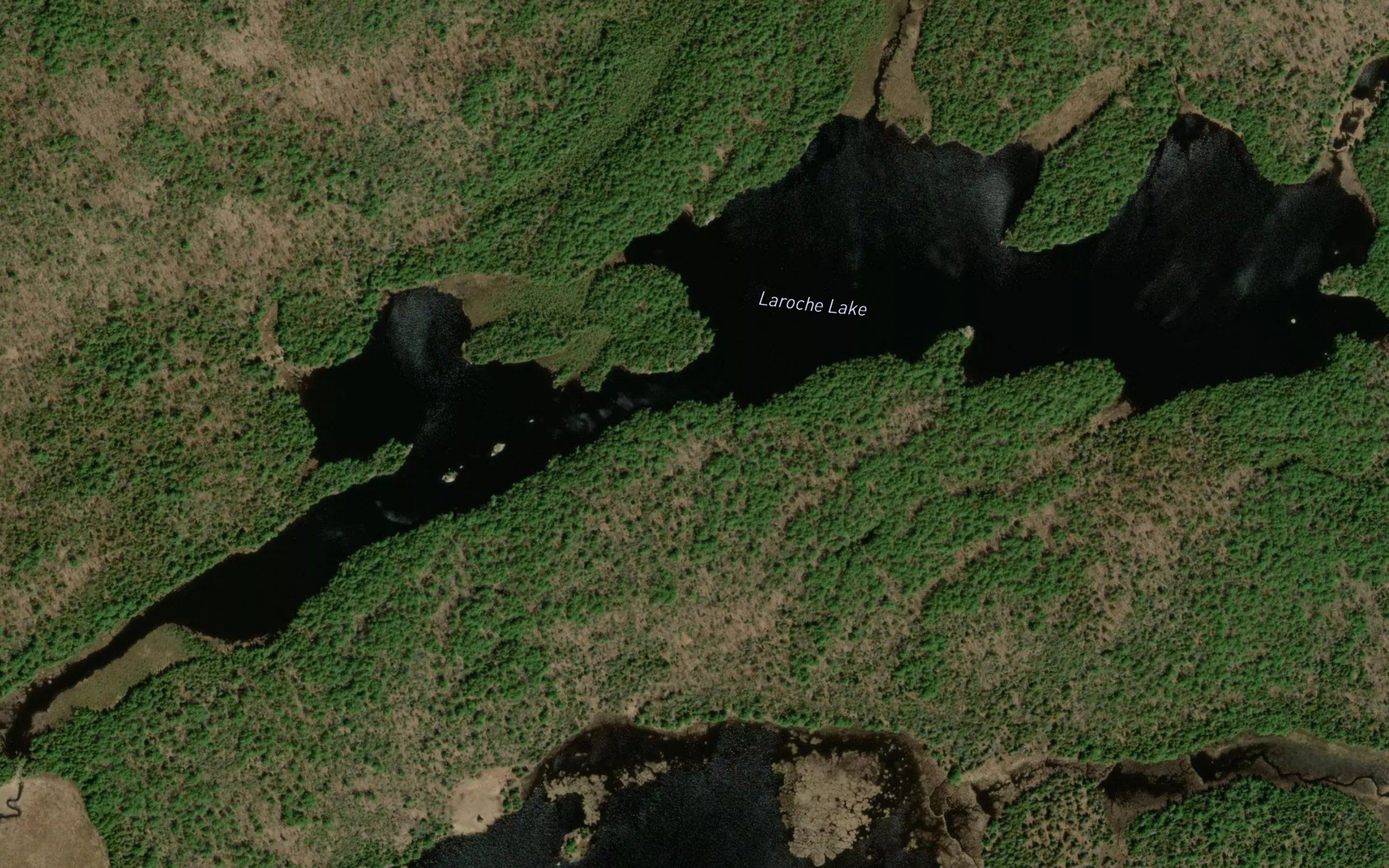 Laroche Lake