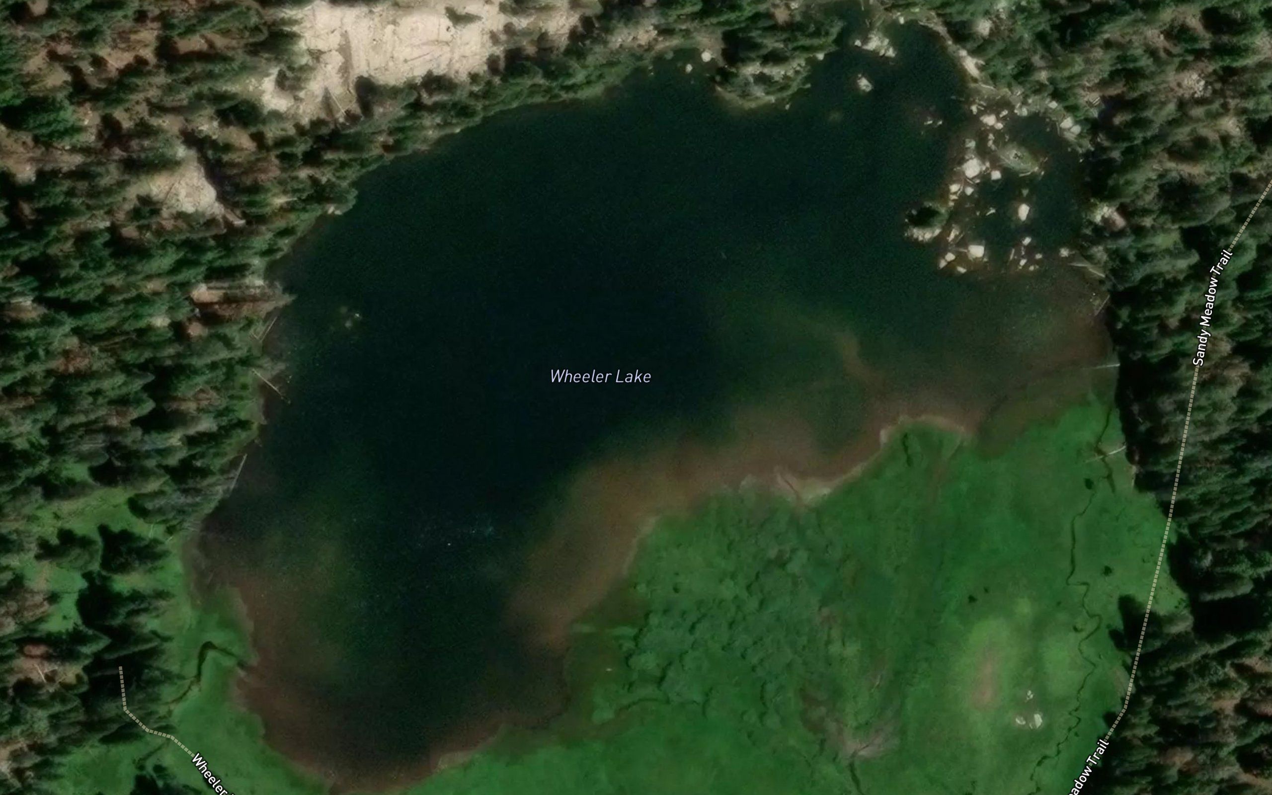 Wheeler Lake