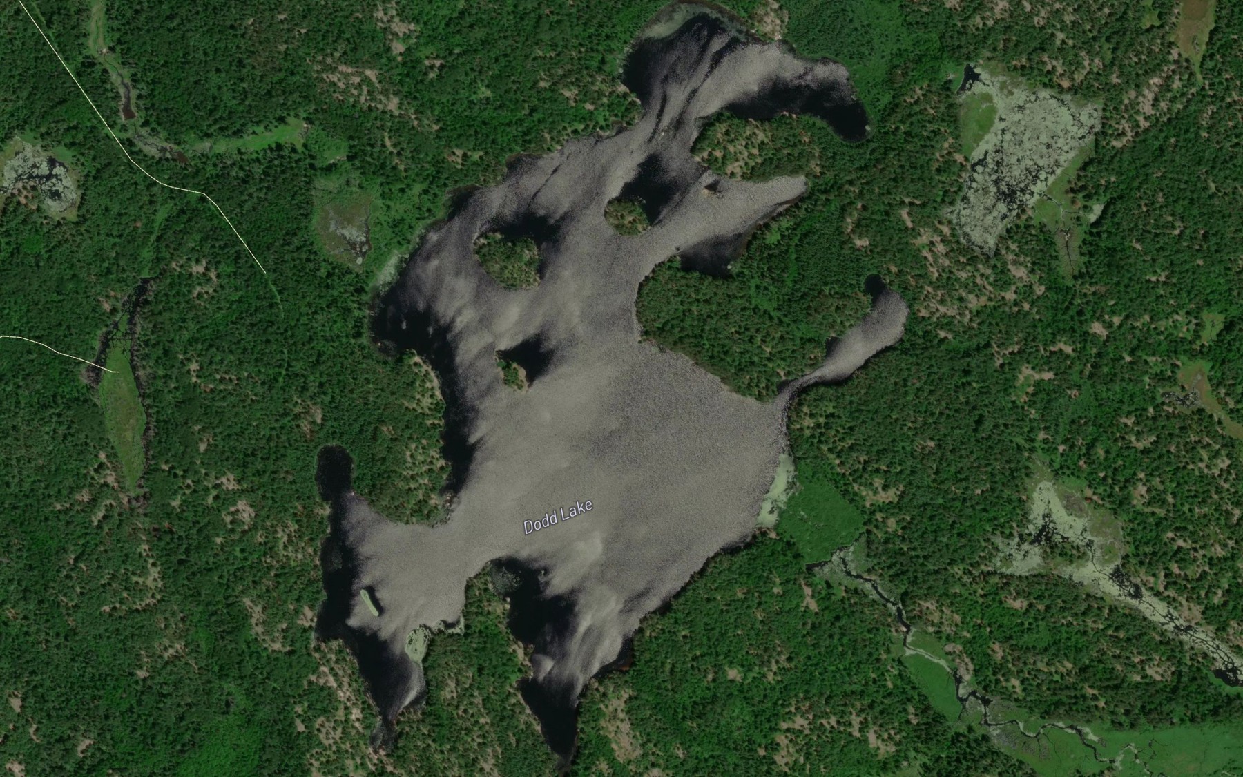 Satellite map of the Dodd Lake