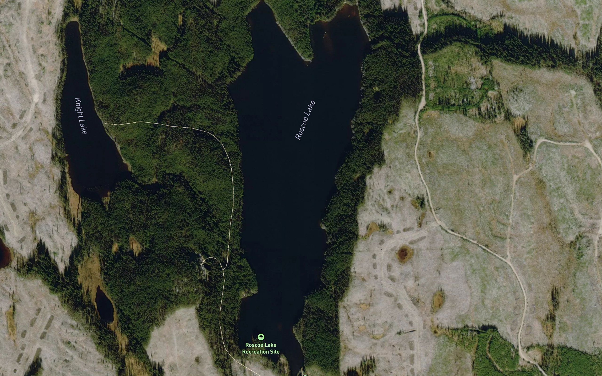 Roscoe Lake