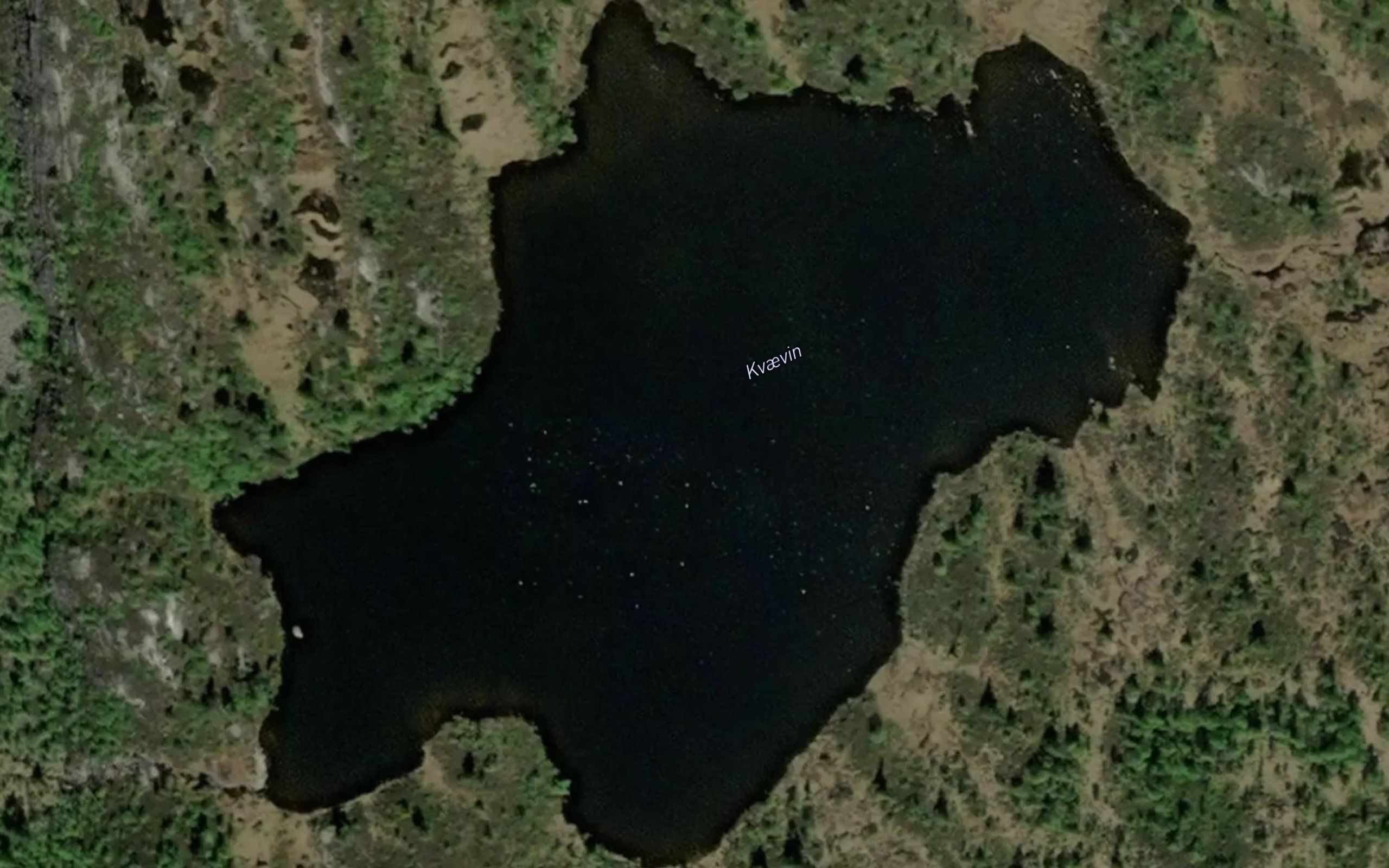 Kvaevin