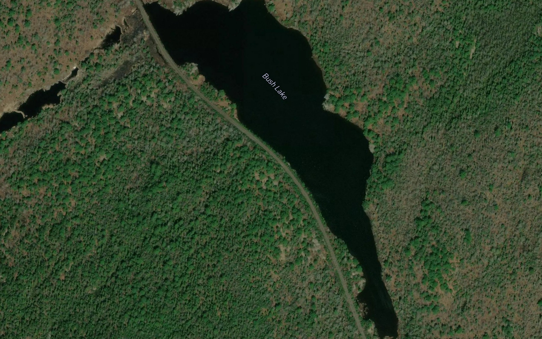Satellite map of the Bush Lake