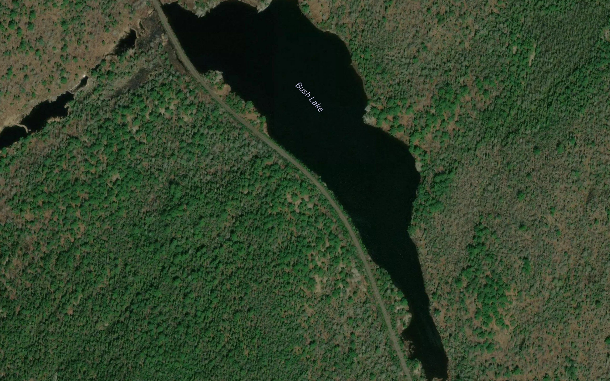 Bush Lake