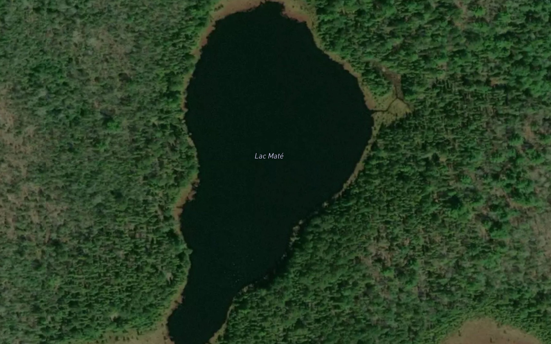 Satellite map of the Lac Mate