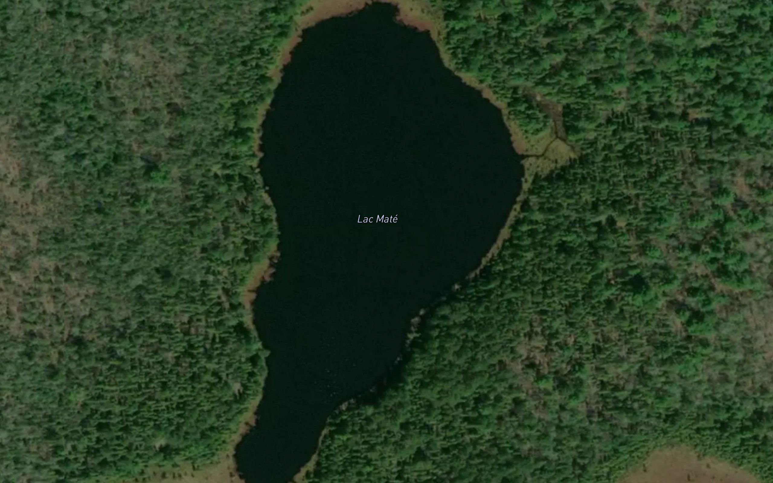 Lac Mate