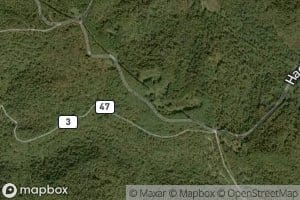 Edward T Balli Spring