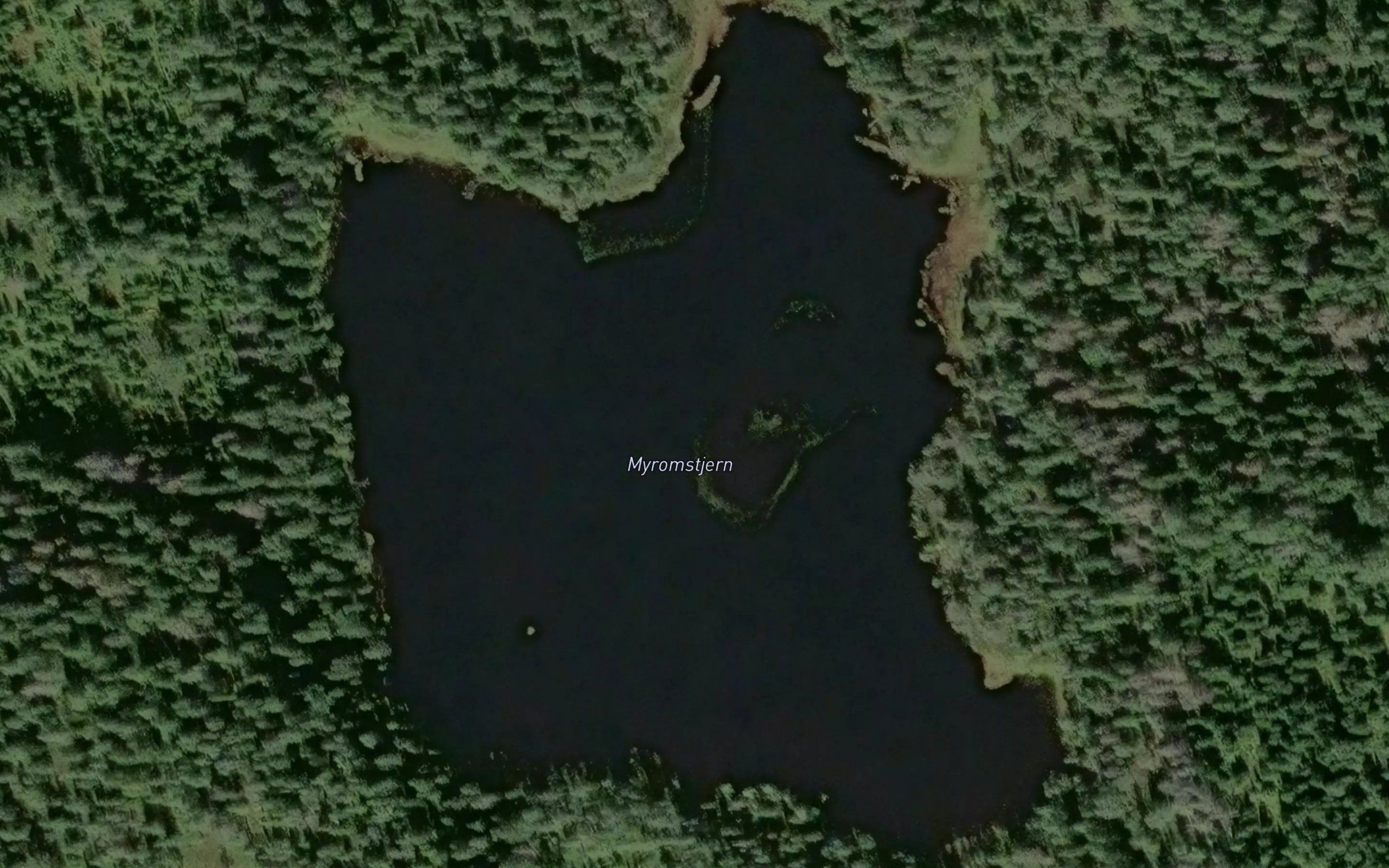 Myromstjern