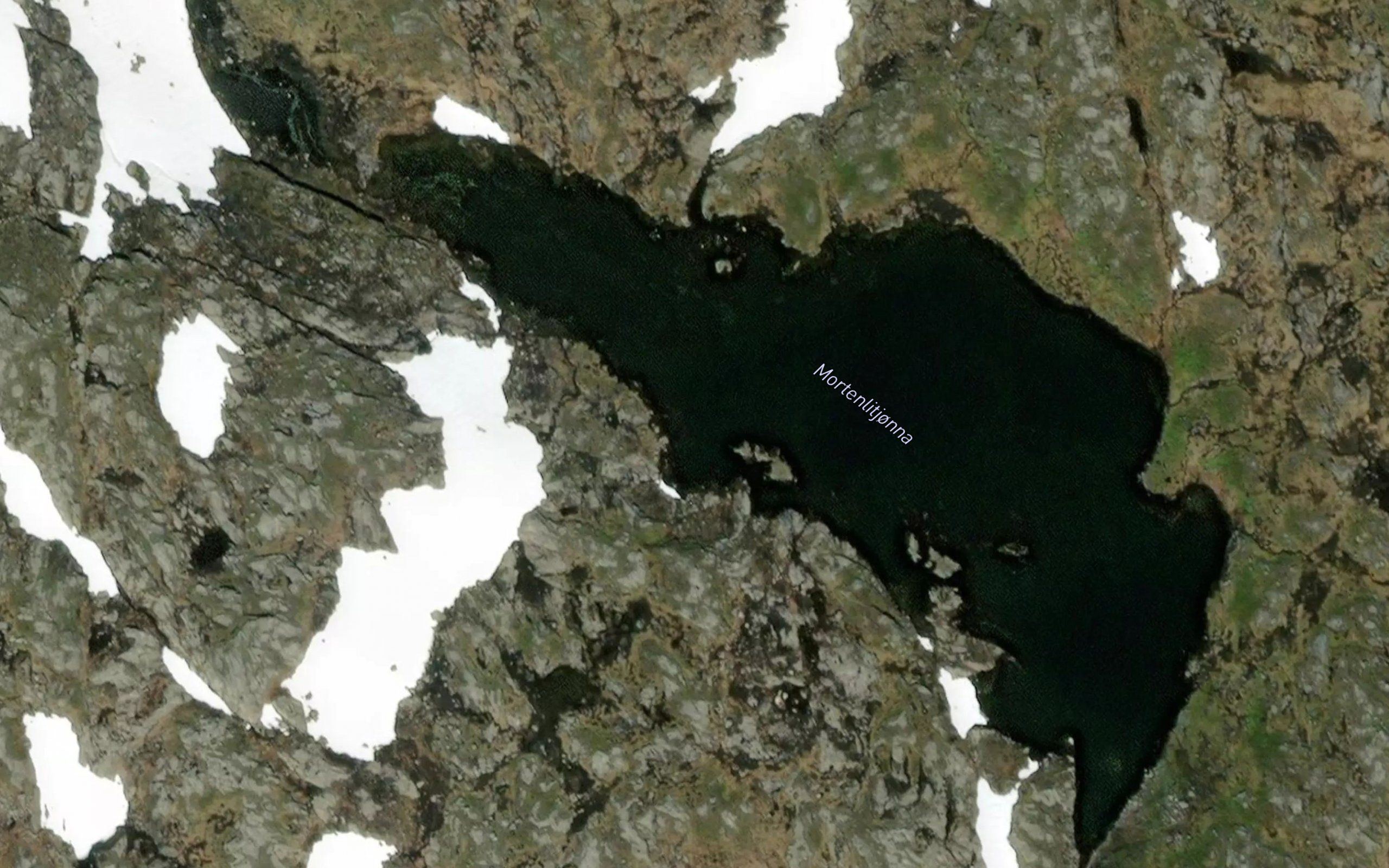 Mortenlitjorna