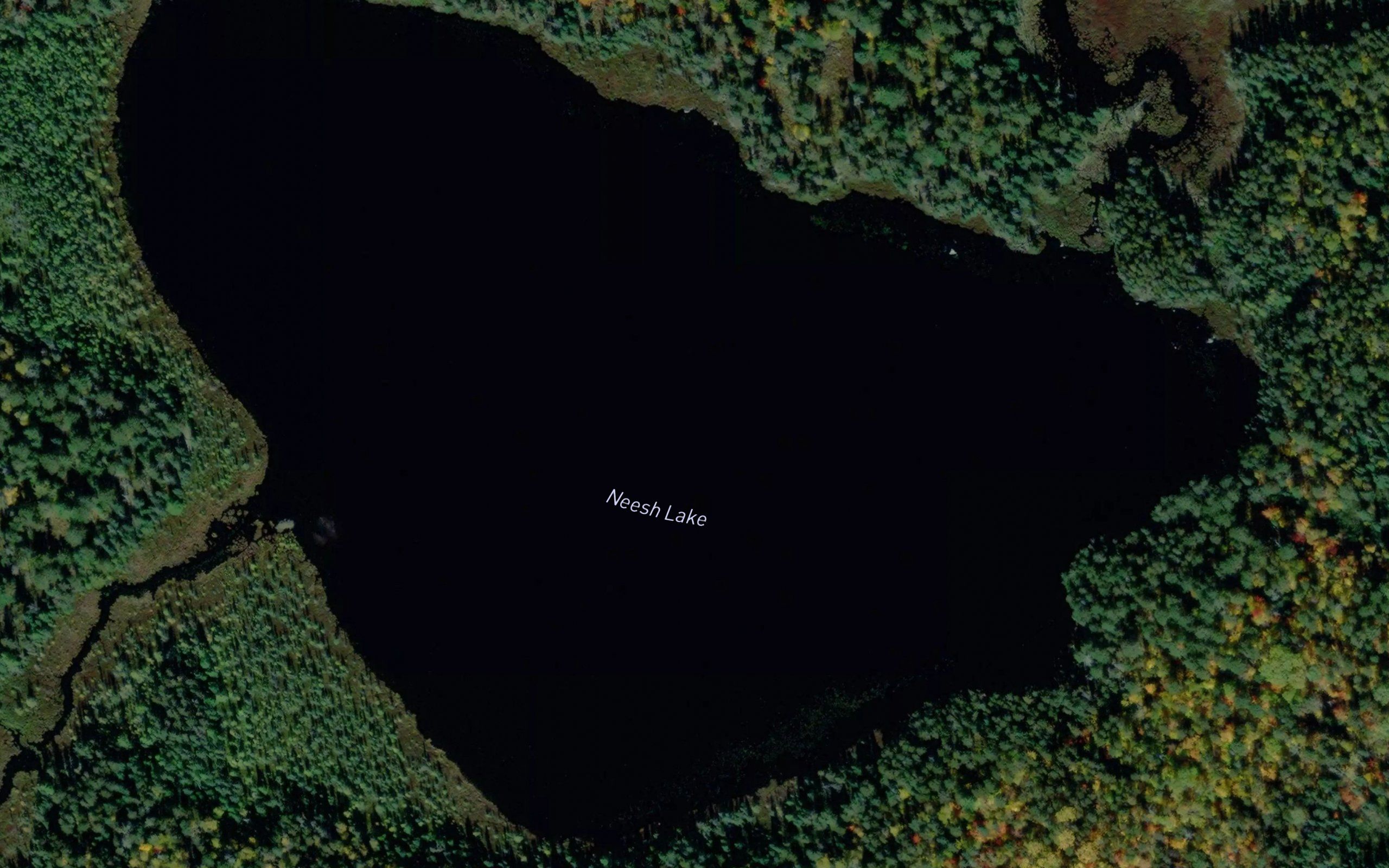 Neesh Lake