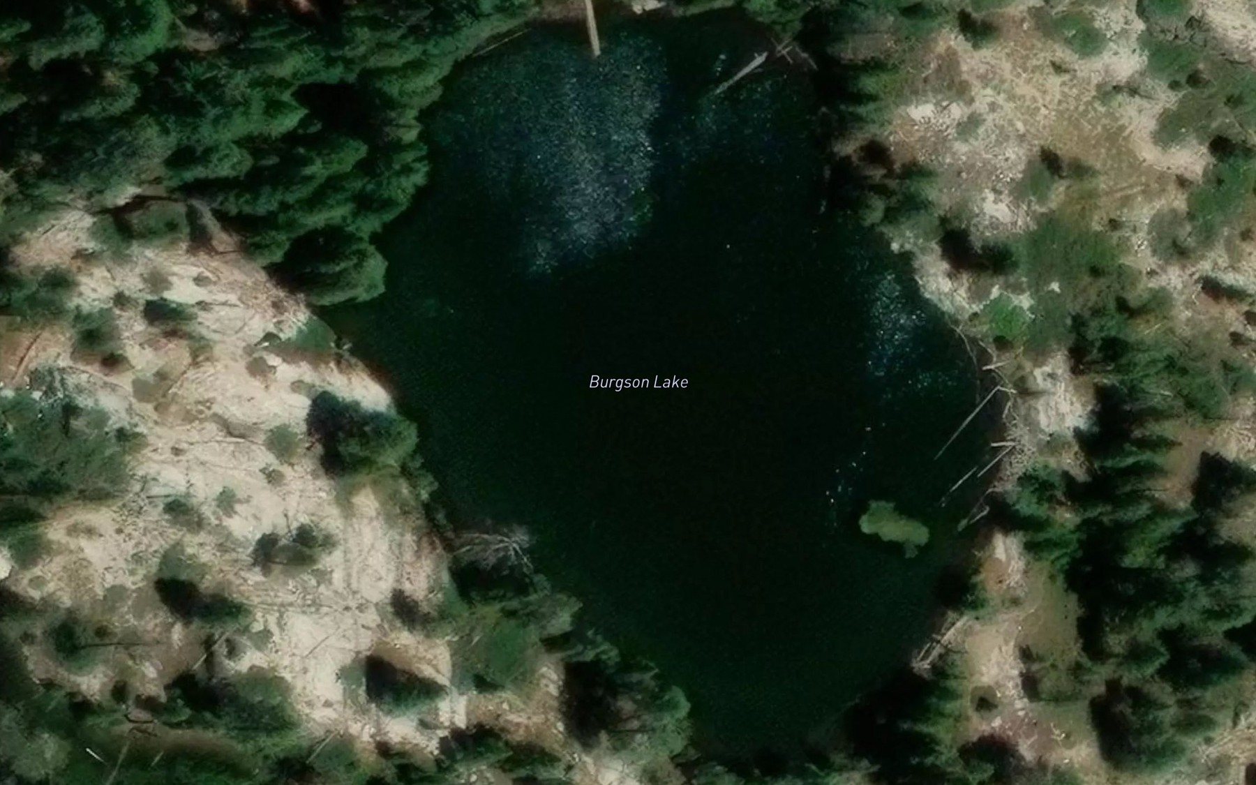 Satellite map of the Burgson Lake