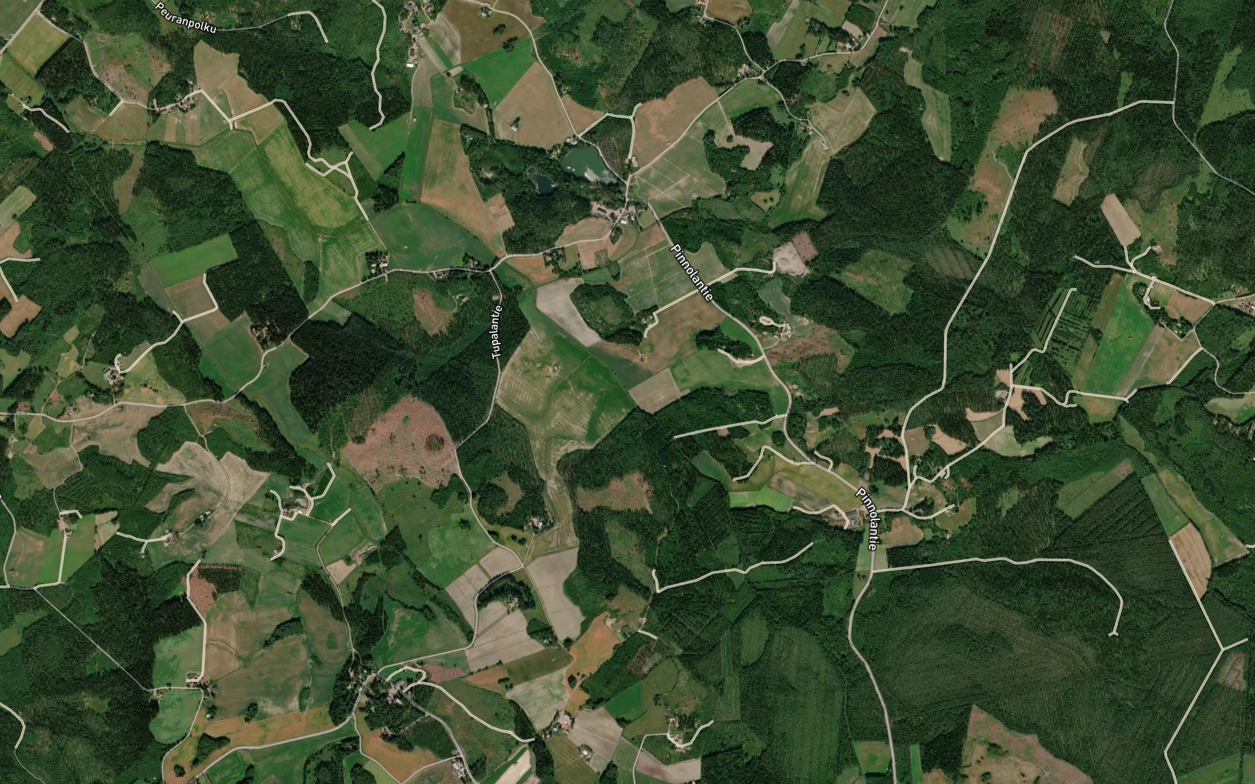 Liesjoki