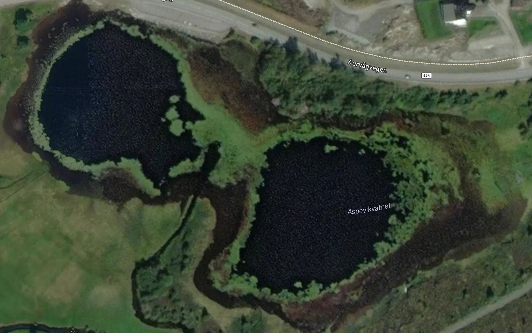 Satellite map of the Aspevikvatnet