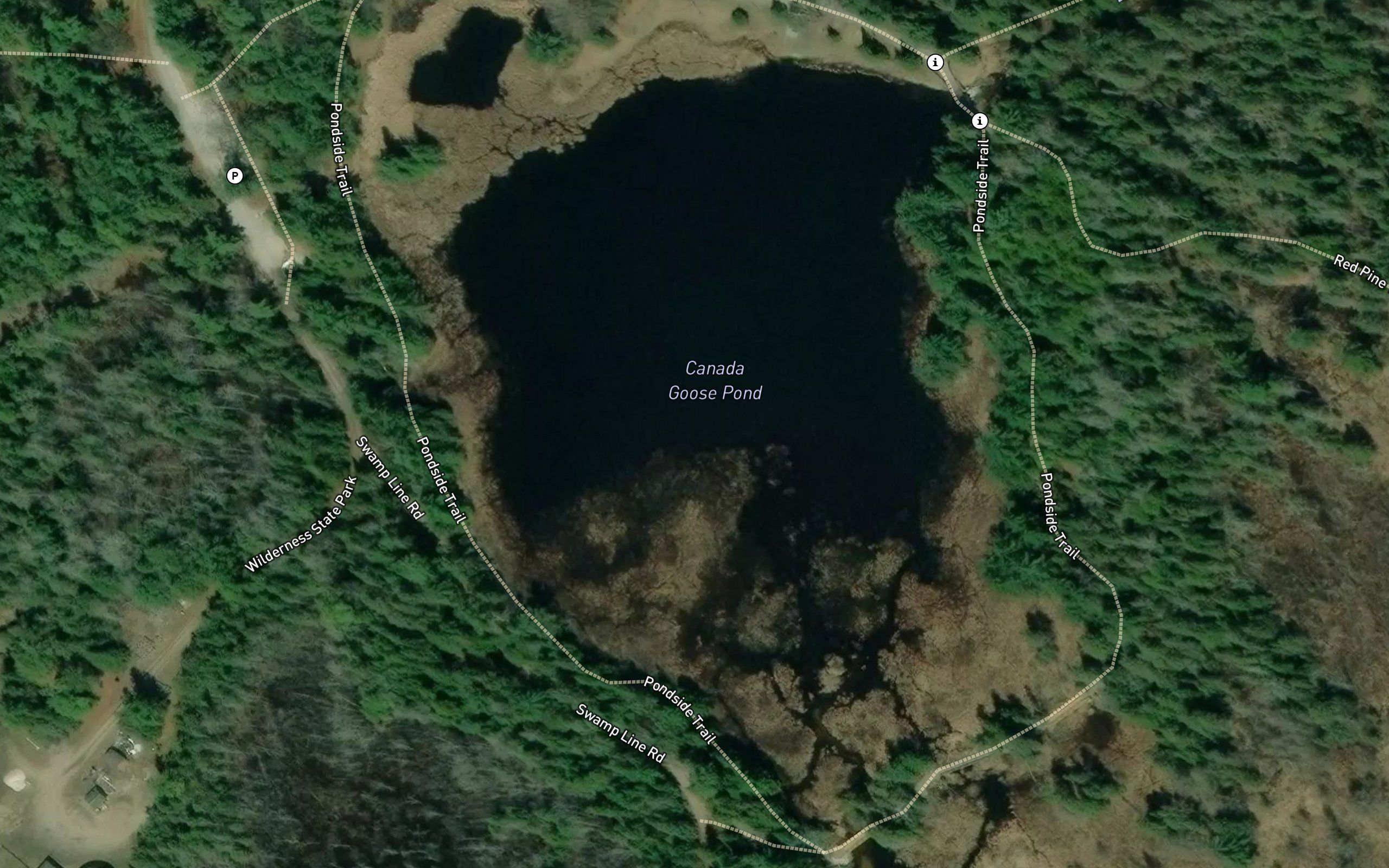 Canada Goose Pond