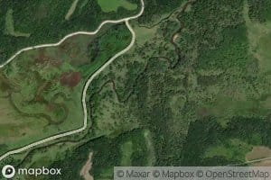Trout Creek