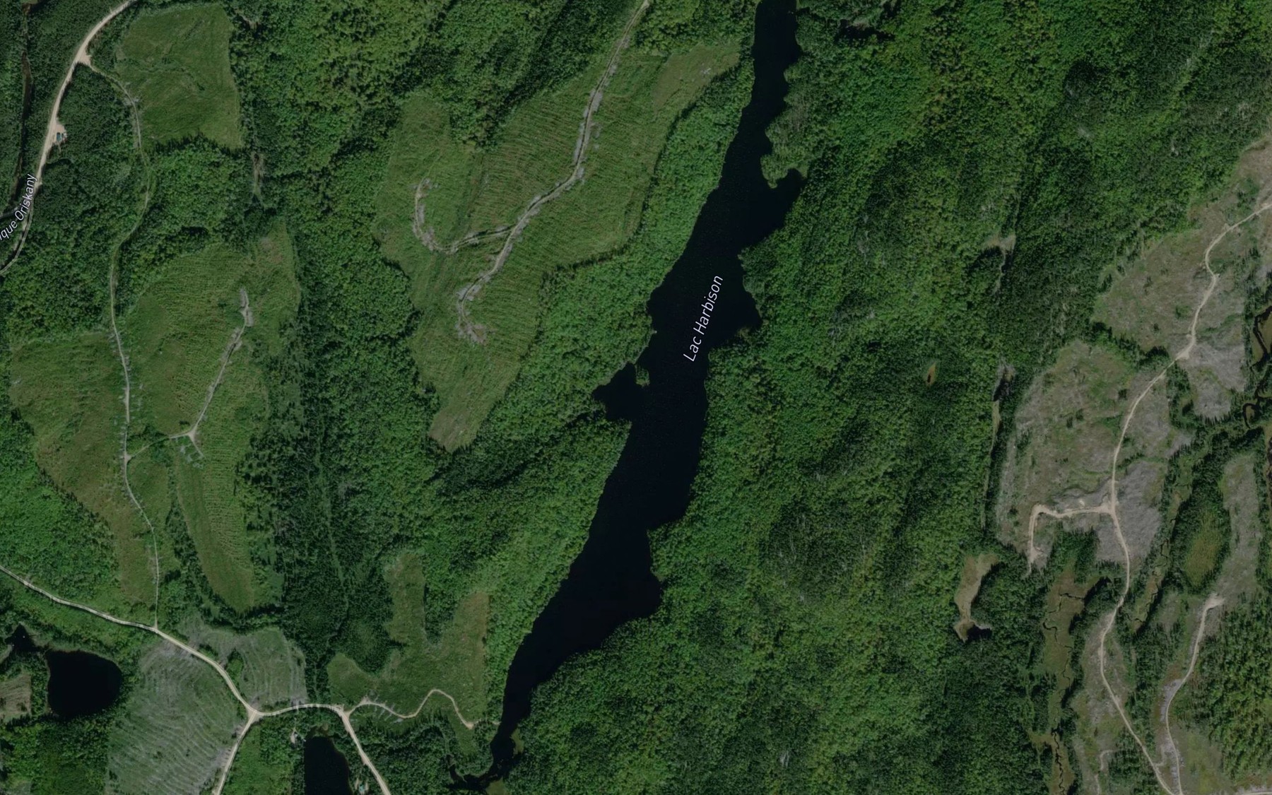 Satellite map of the Lac Harbison