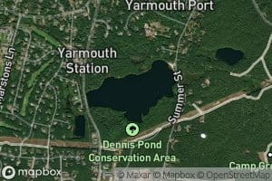 Dennis Pond