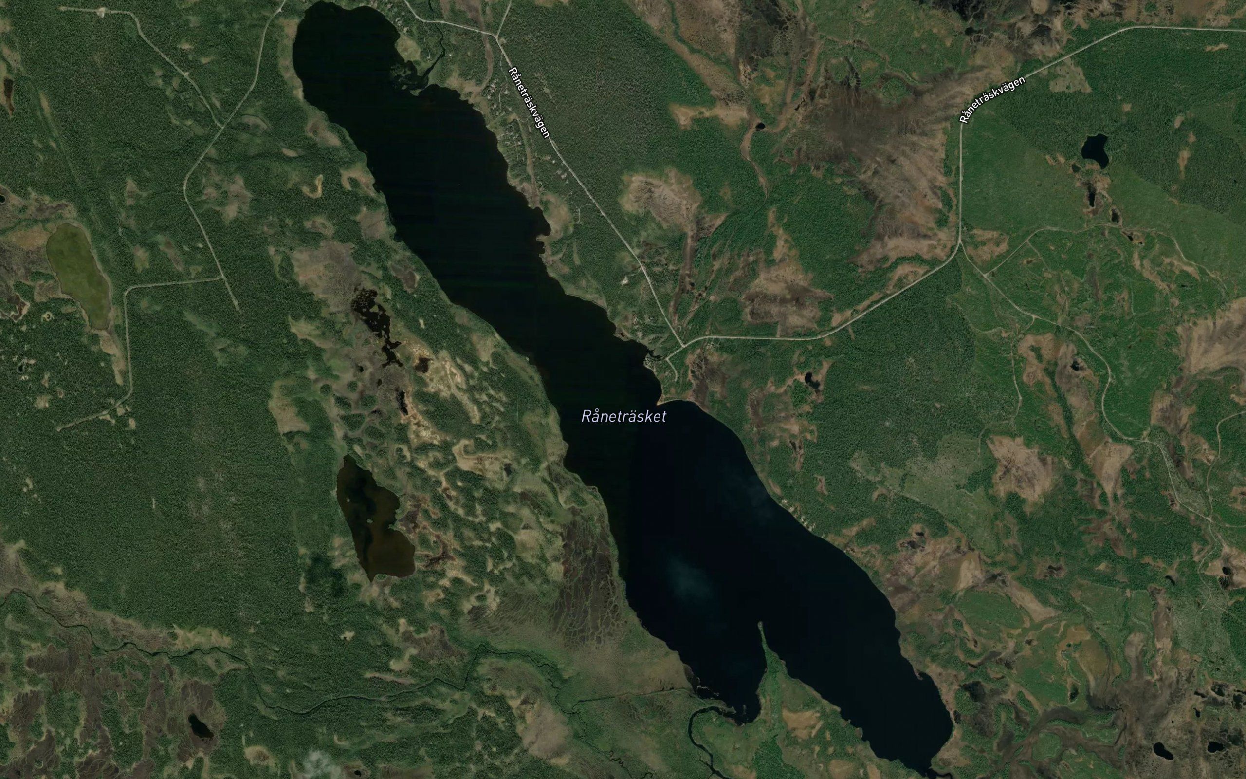 Radnejaure