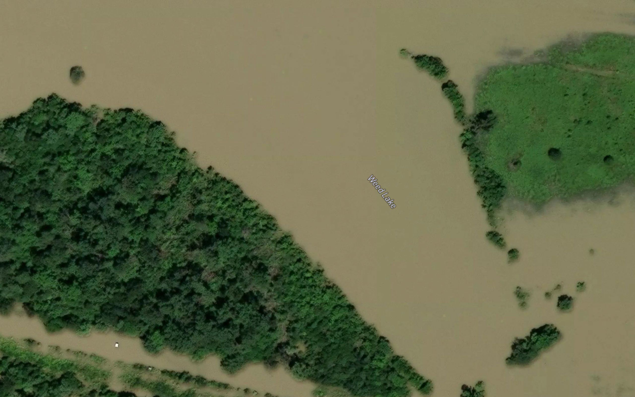 Weed Lake