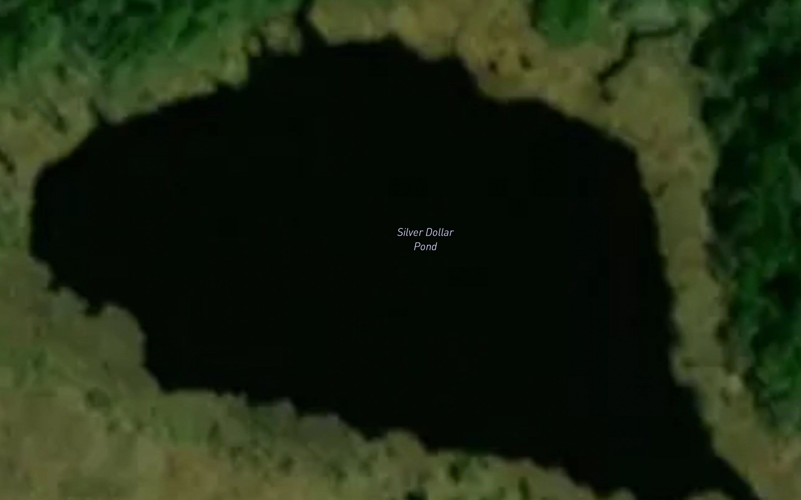 Silver Dollar Pond