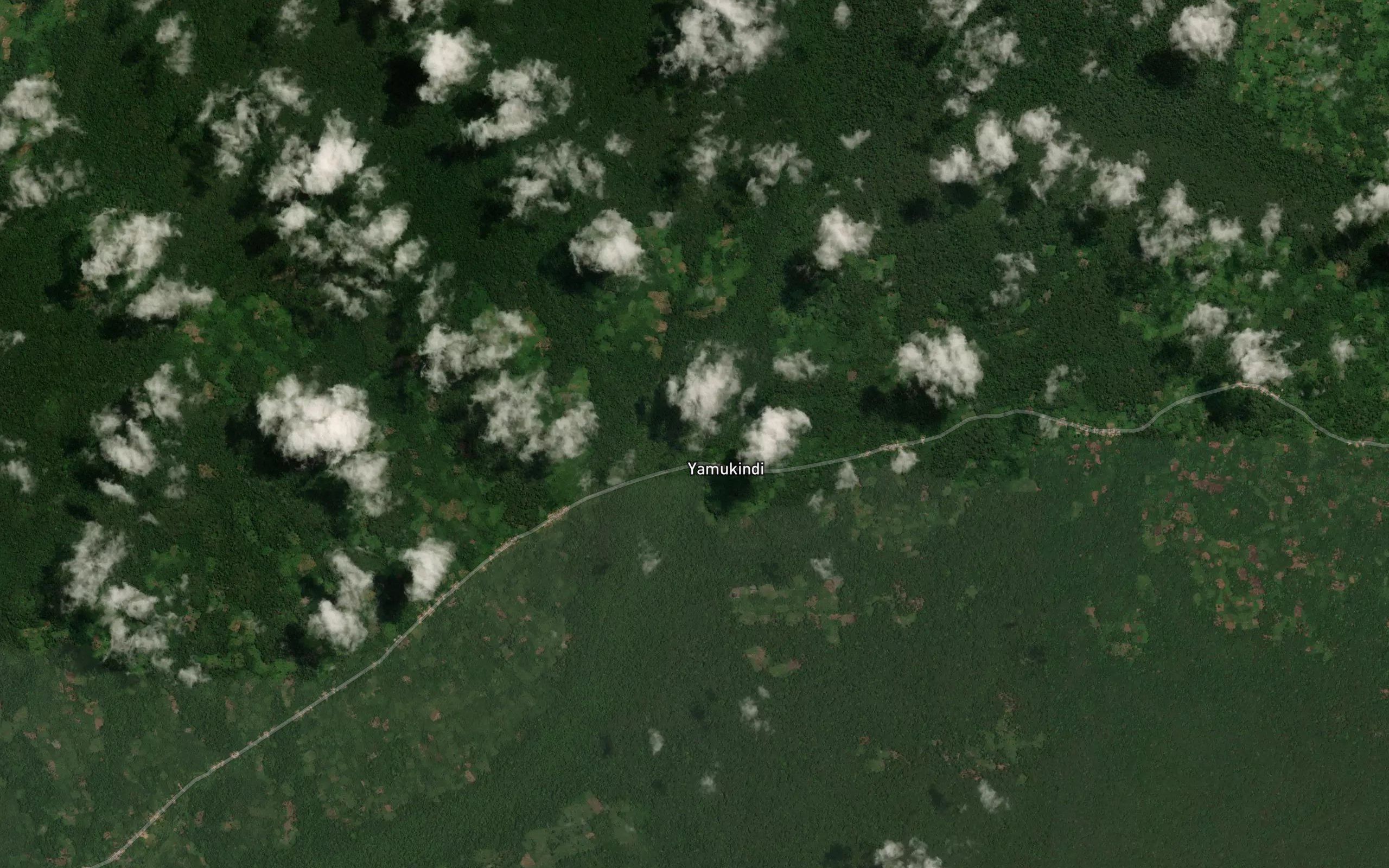 Matango