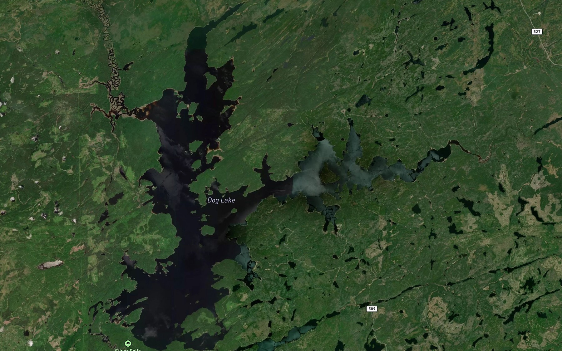 Satellite map of the Dog Lake