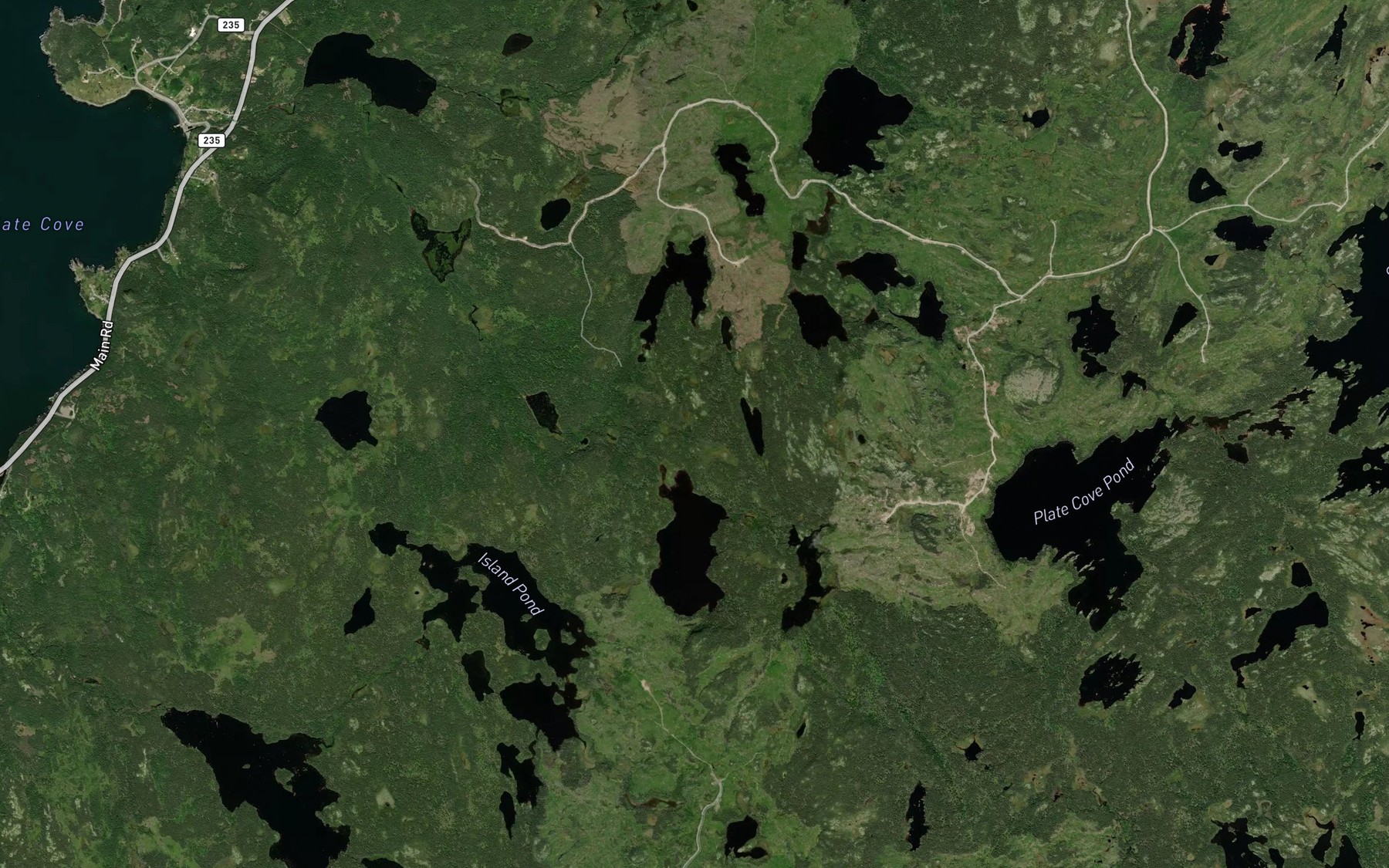 Satellite map of the Walshs Pond