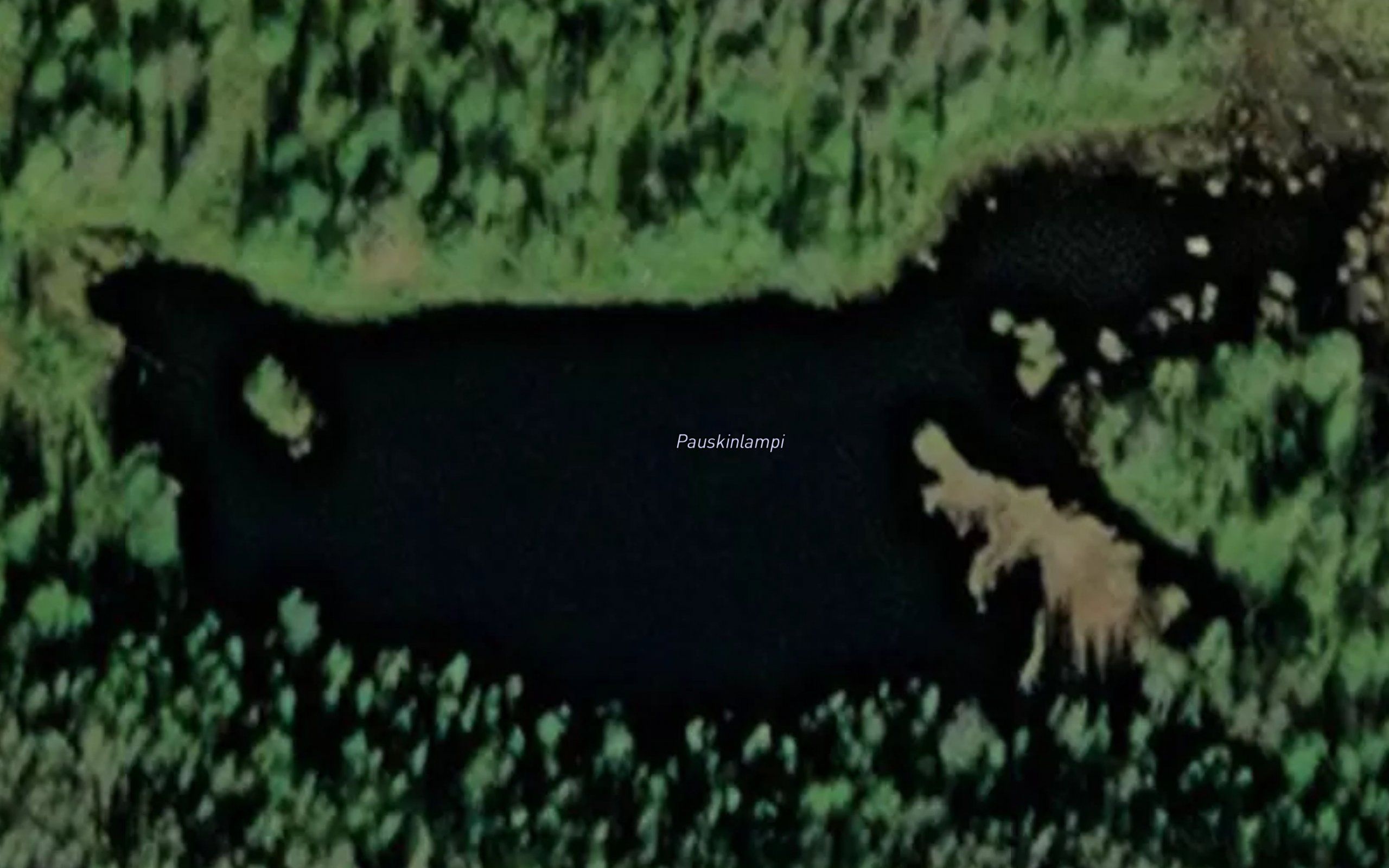Pauskinlampi
