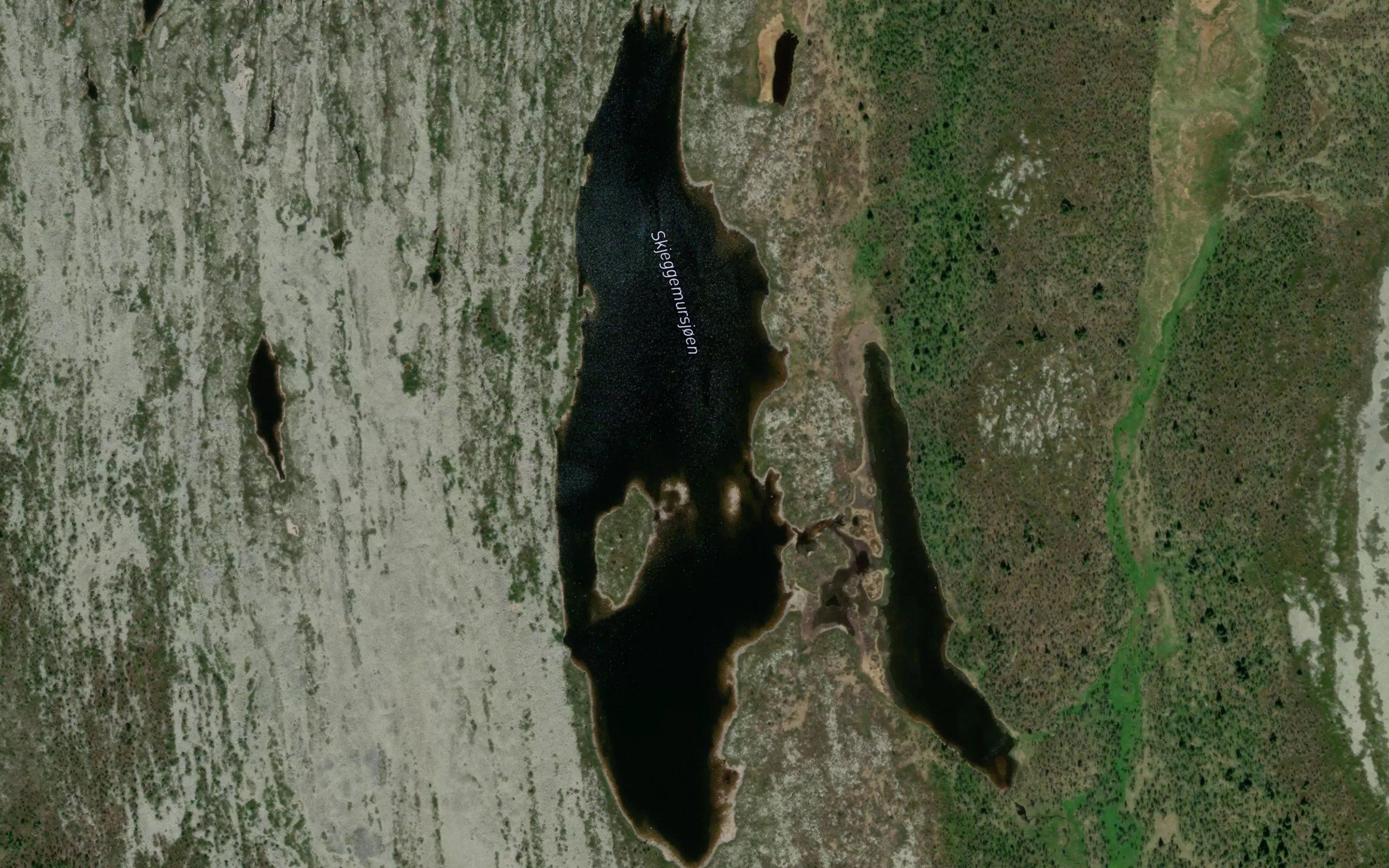 Skjeggemursjoen