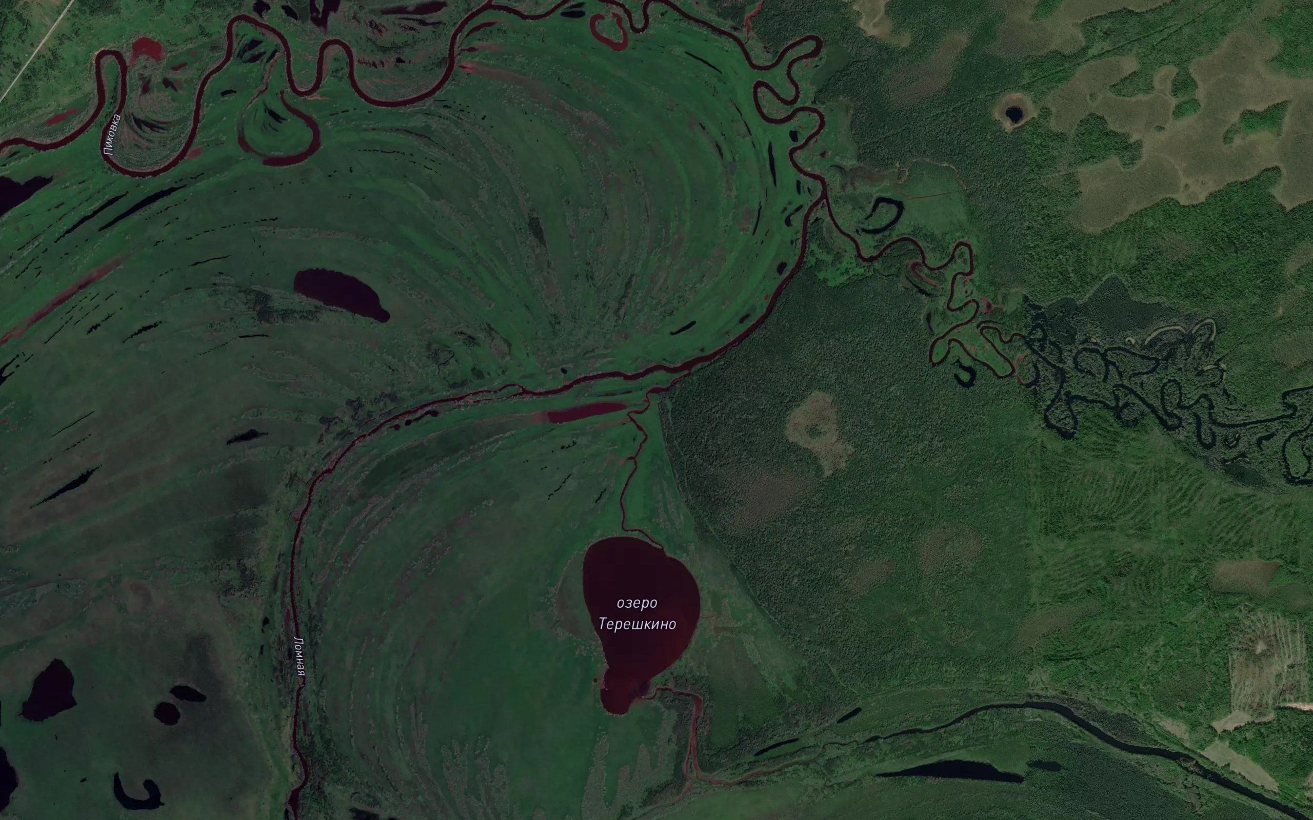 Lomnaya