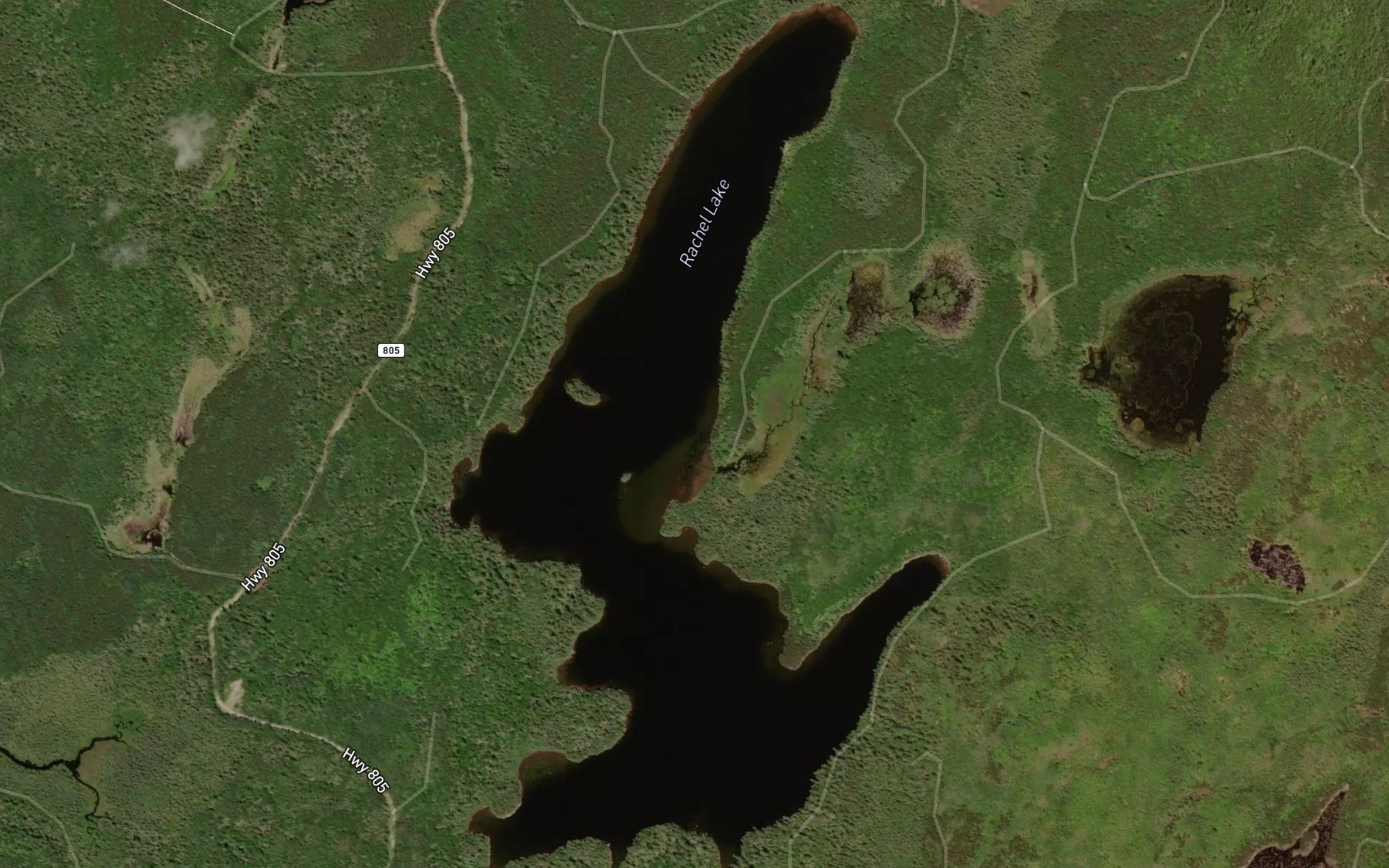 Satellite map of the Rachel Lake
