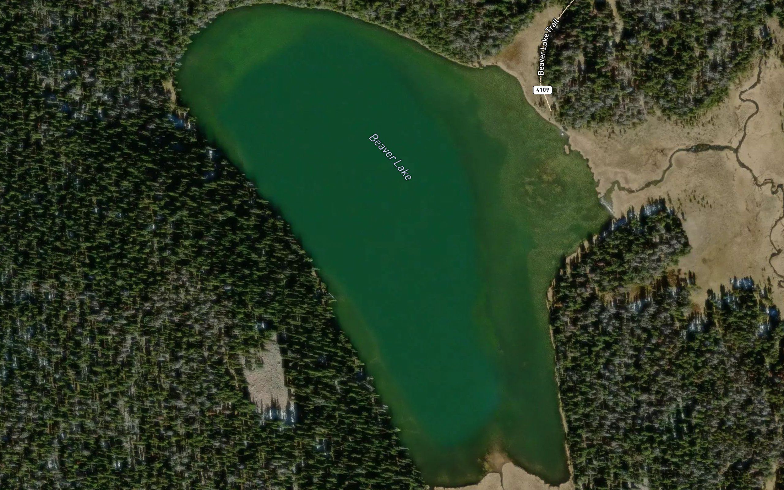 Beaver Lake
