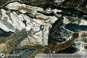 Birch Spring