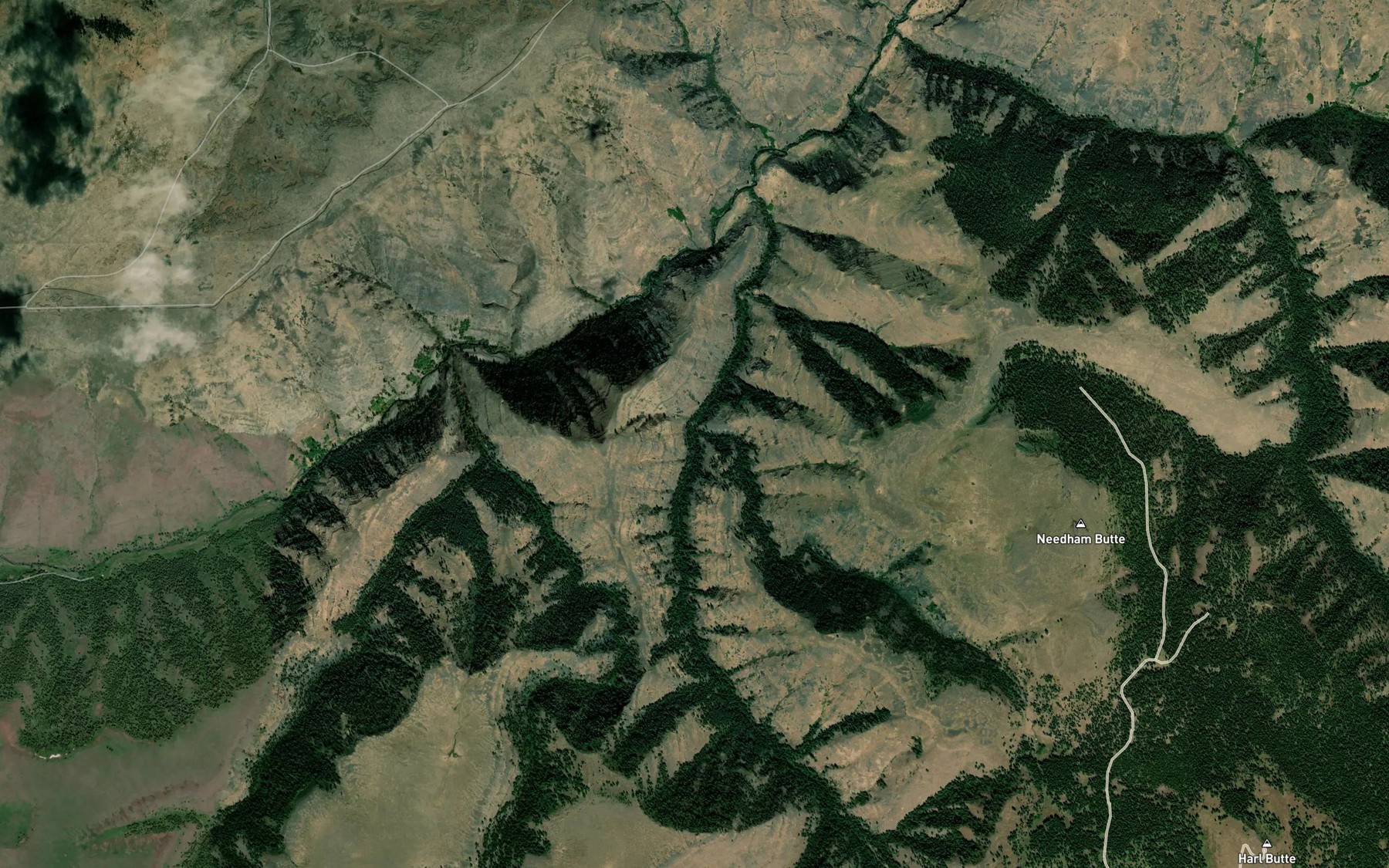 Satellite map of the Needham Creek