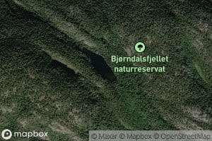 Kursdalstjern