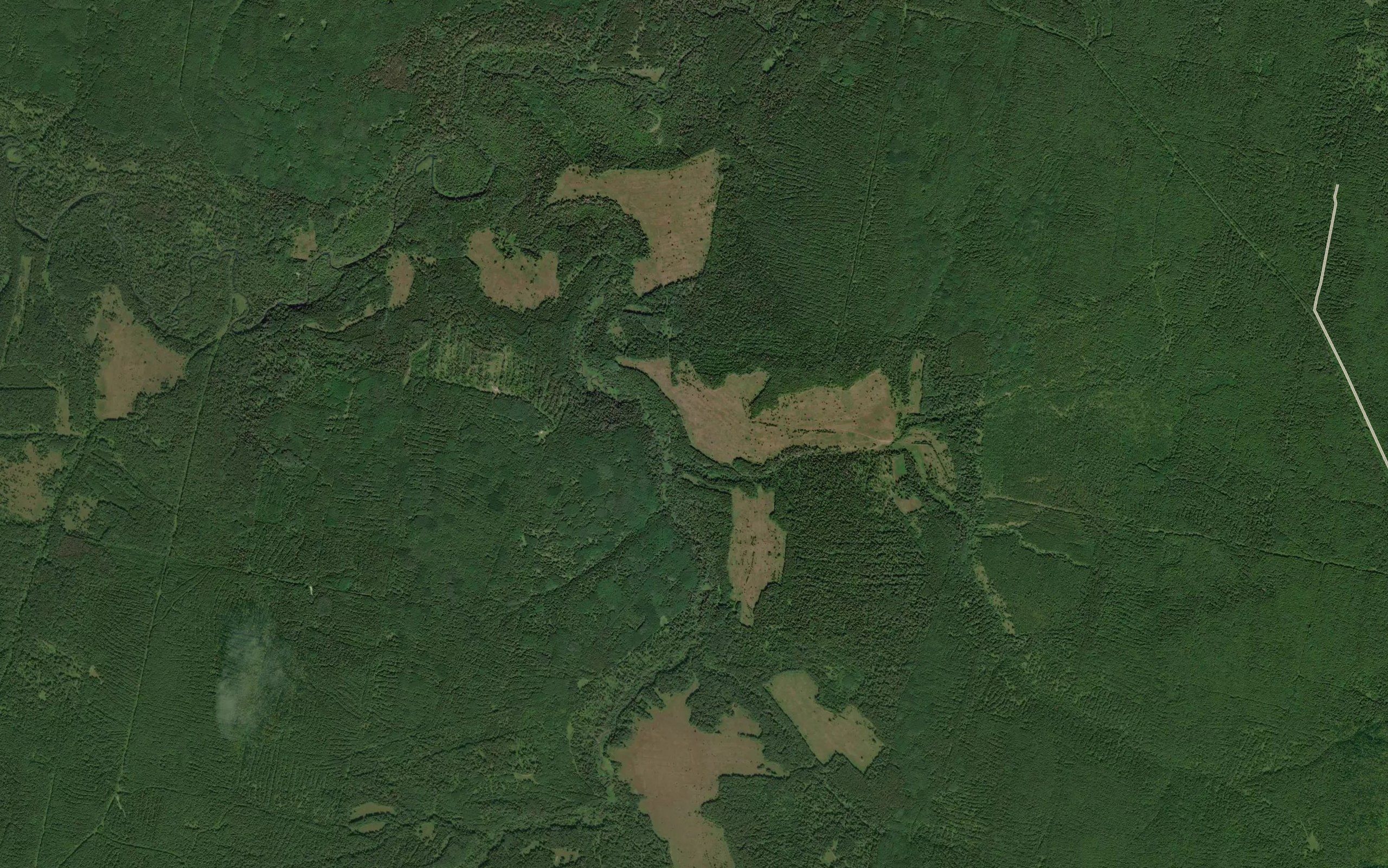 Belaya