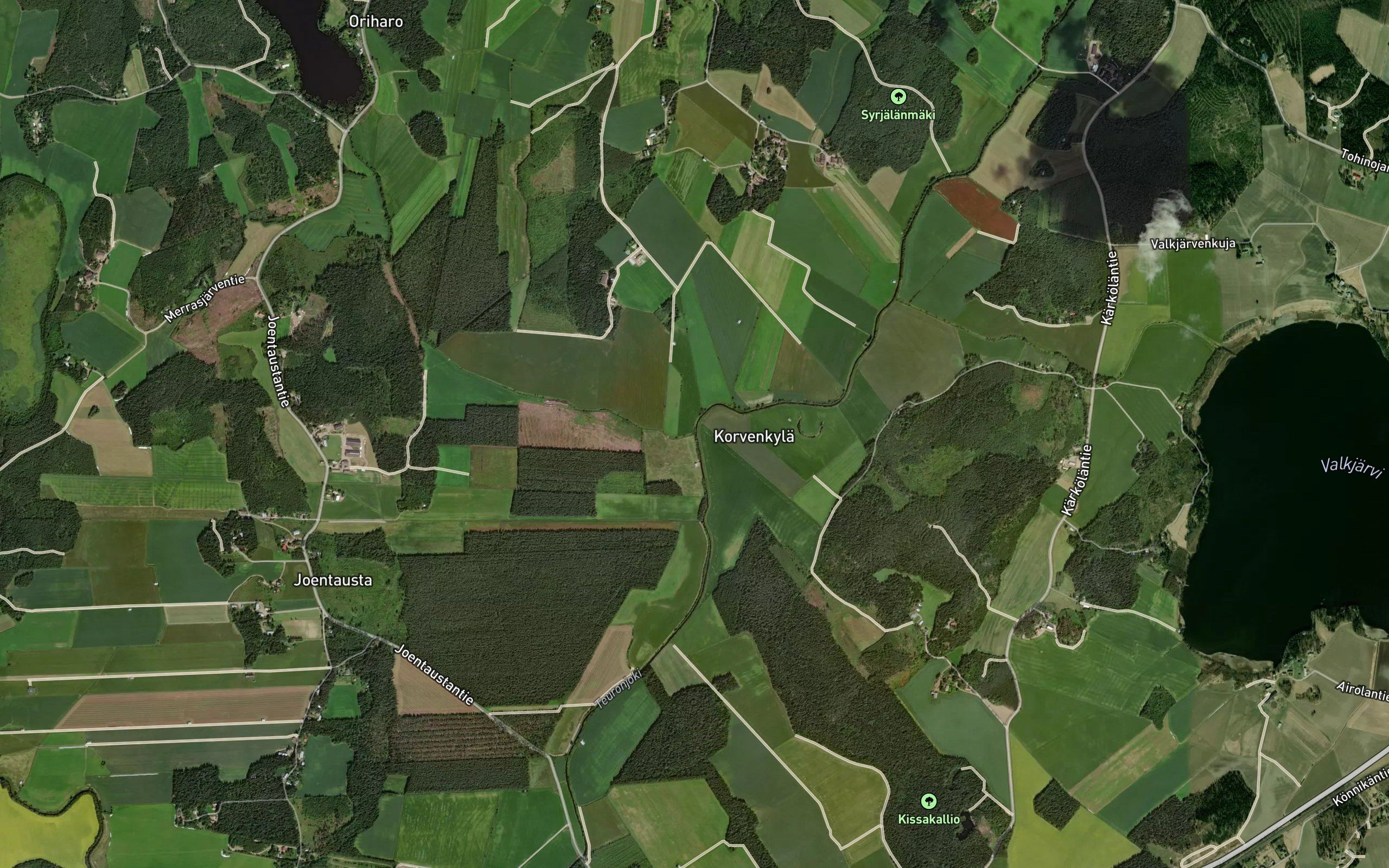 Pallinkaistenoja