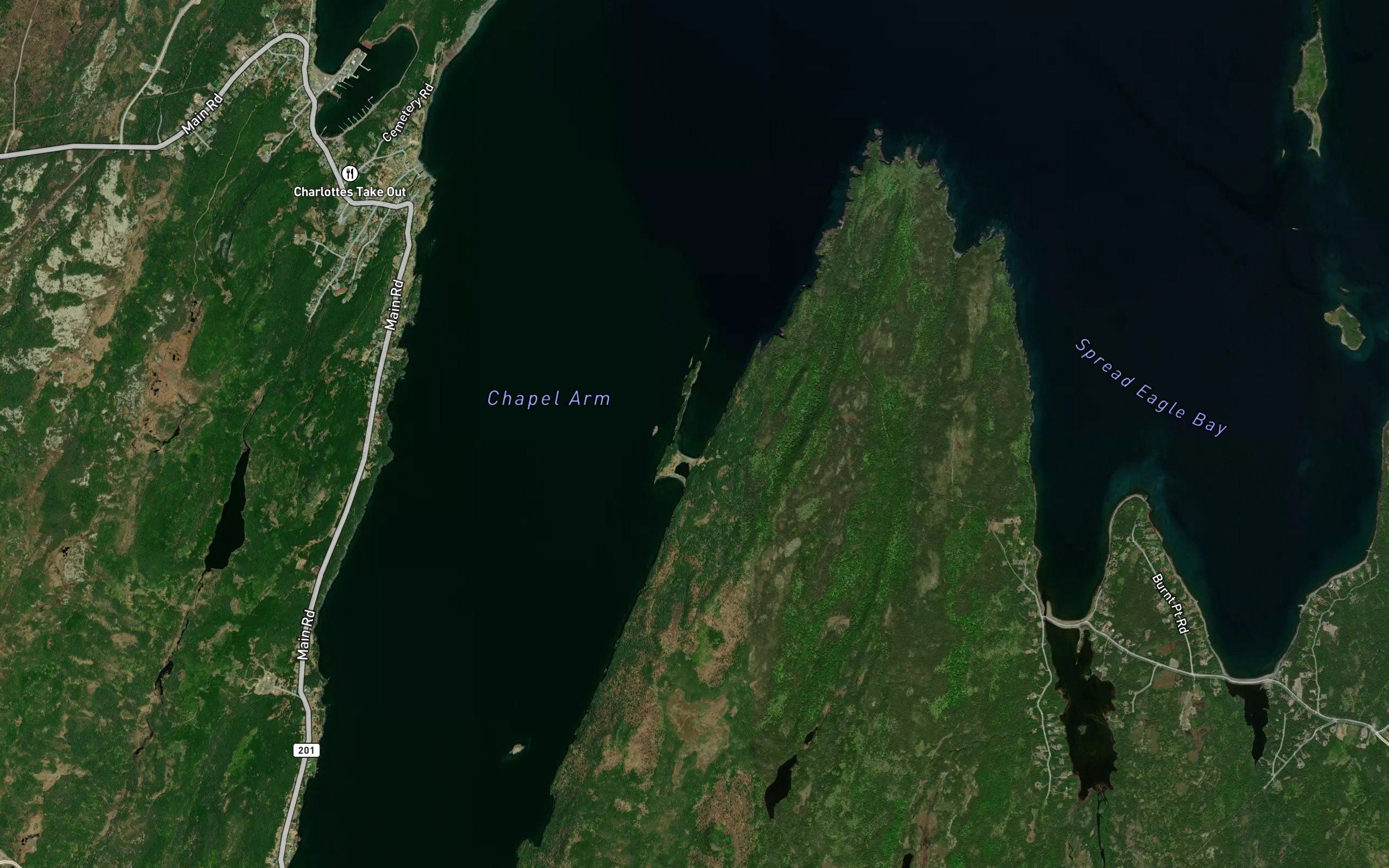 Lower Little Ridge Cove