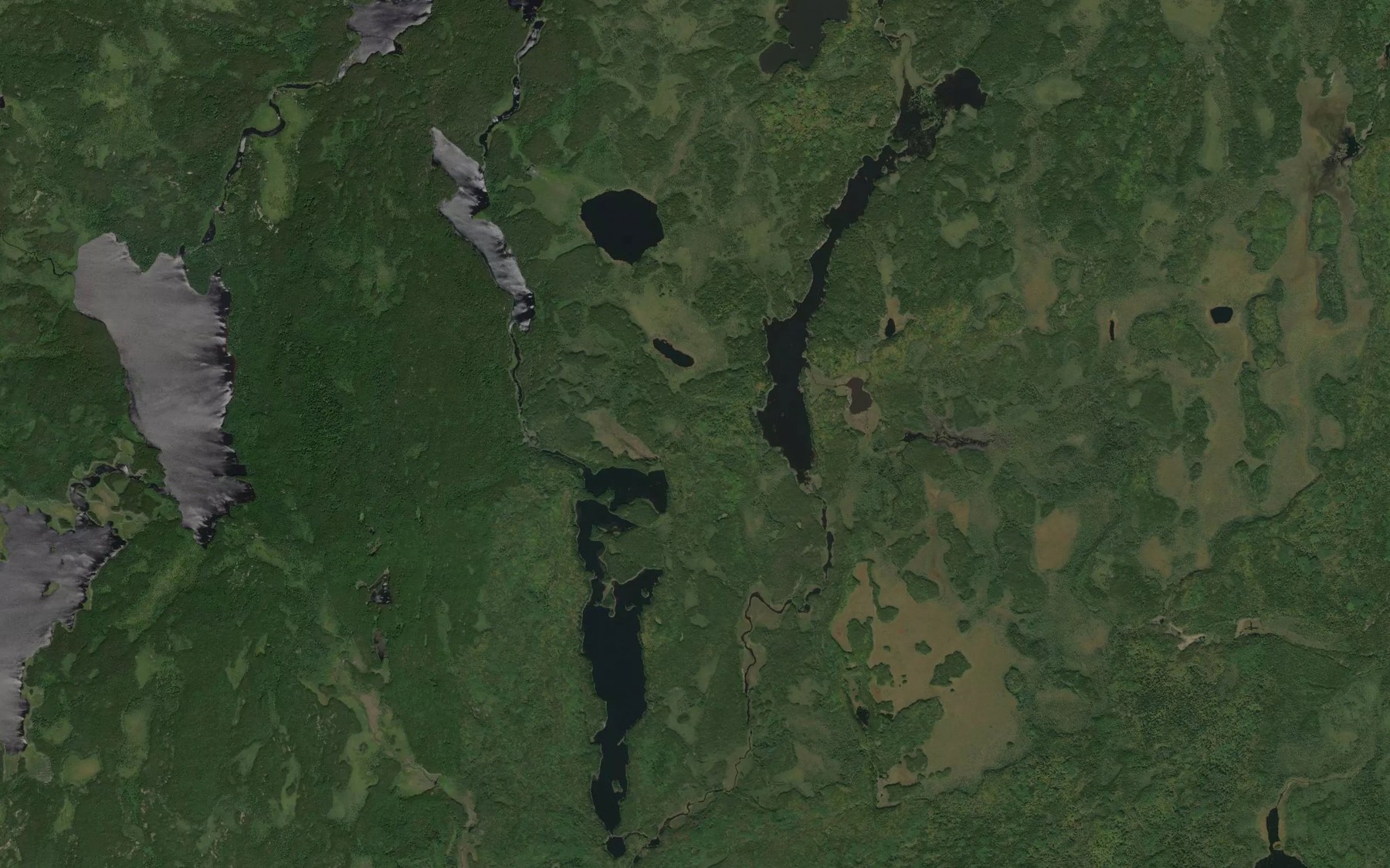 Satellite map of the Damon Creek