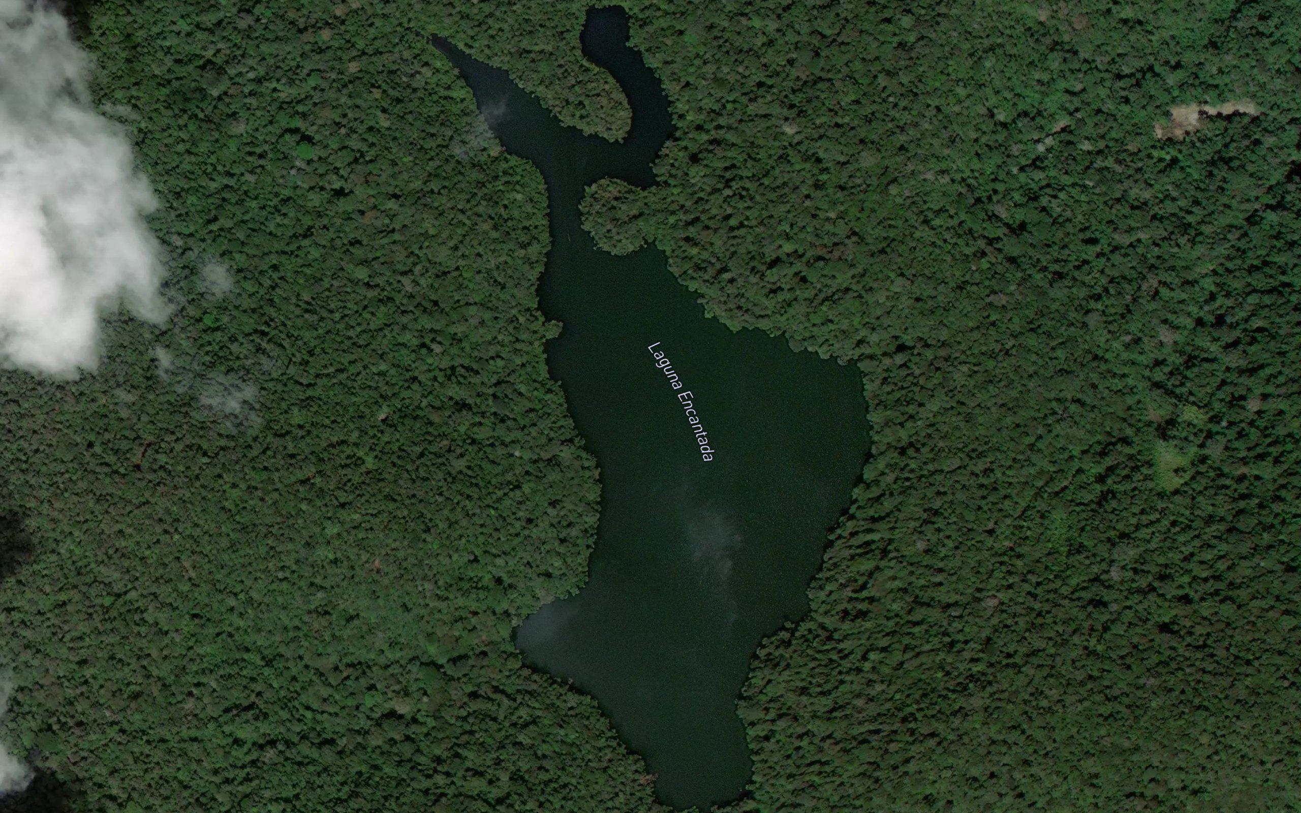Laguna Alto del Oso