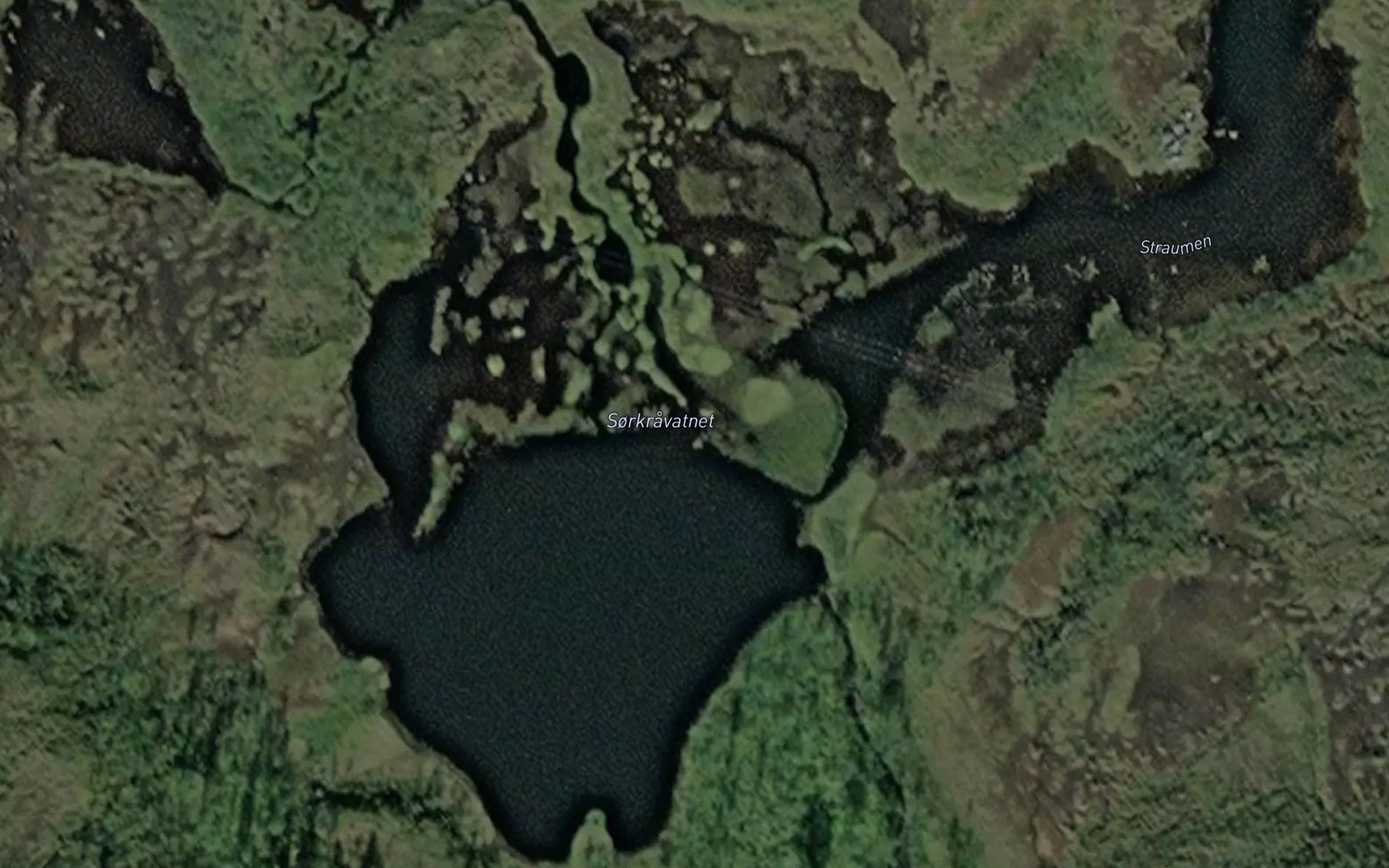 Sorkravatnet