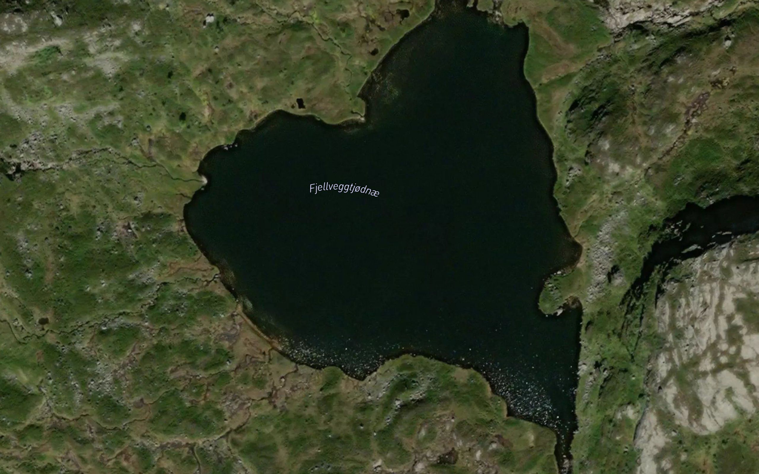 Fjellveggtjodnae