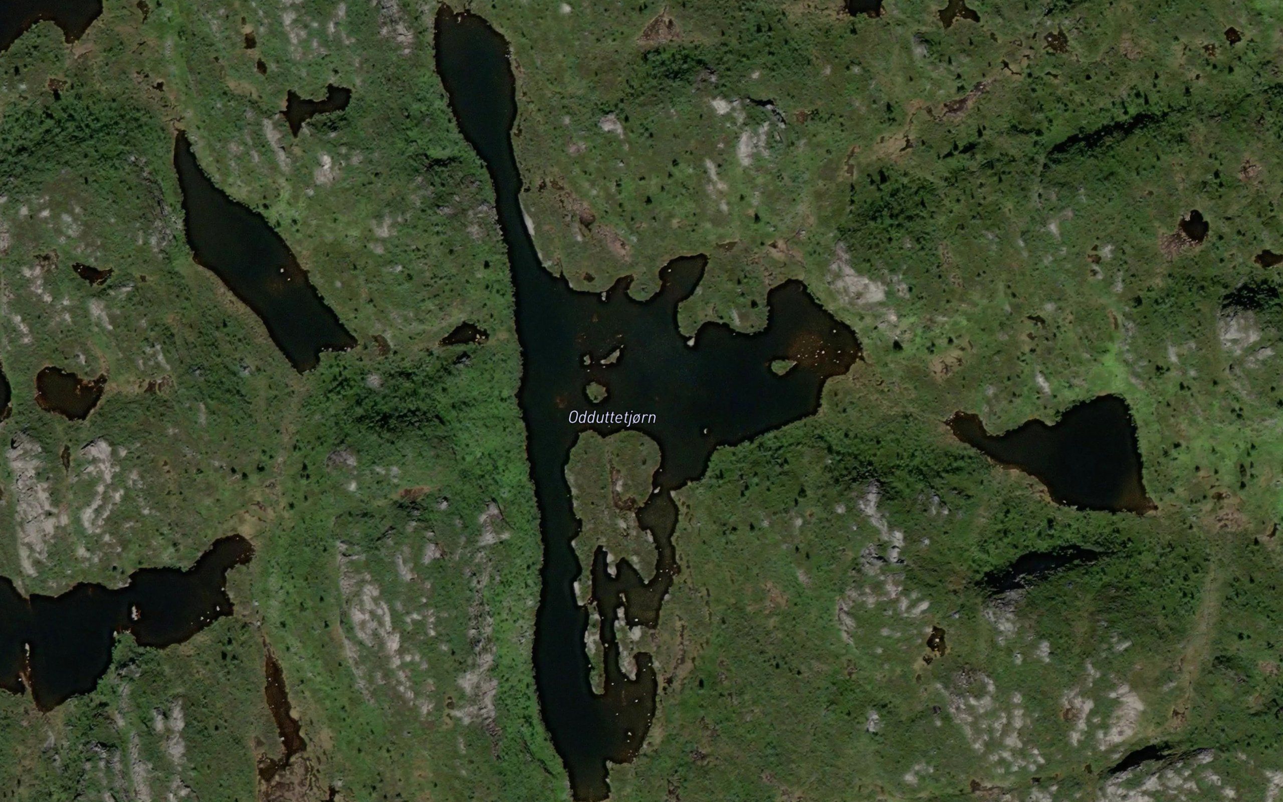 Odduttetjorn