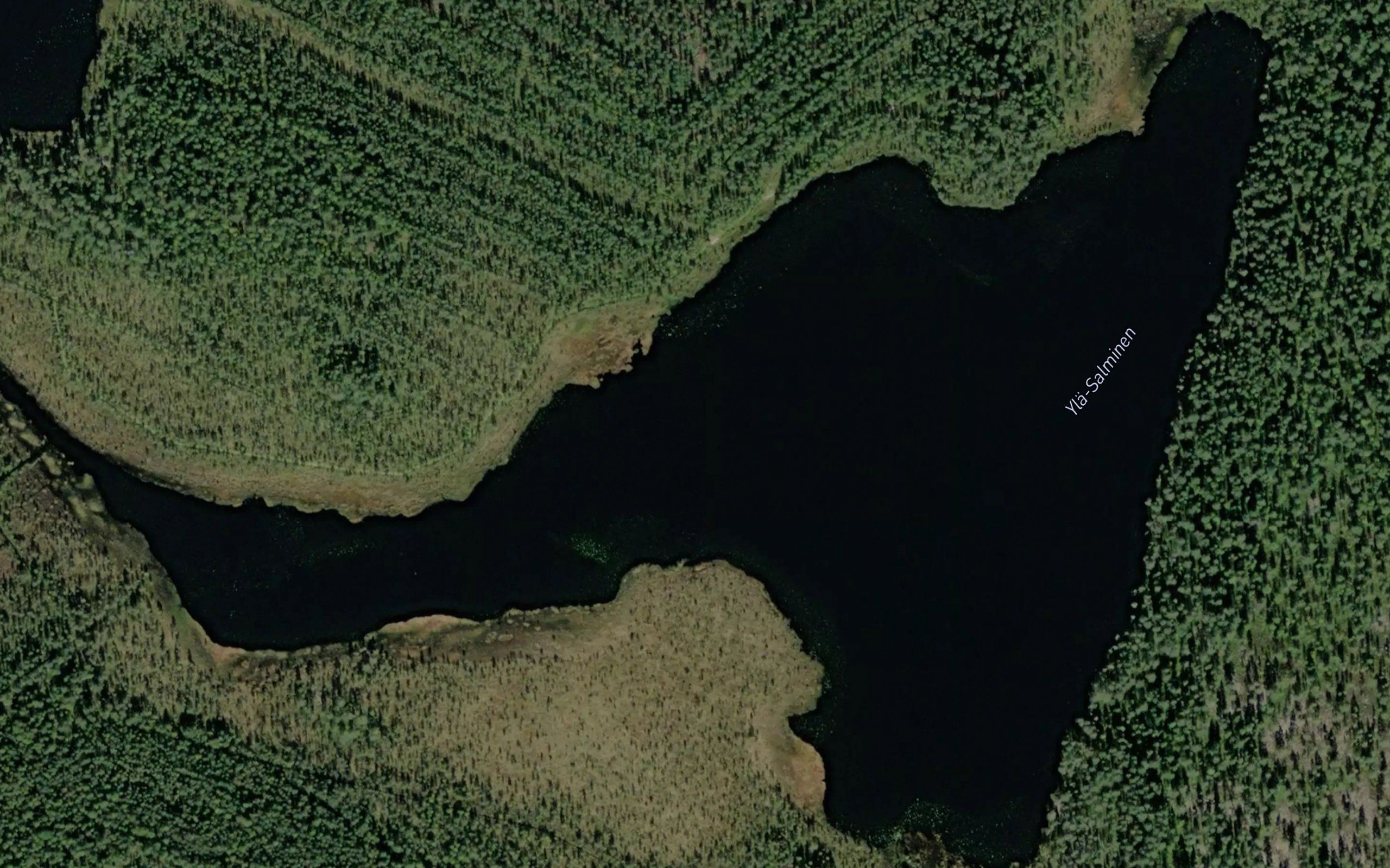 Yla-Salminen