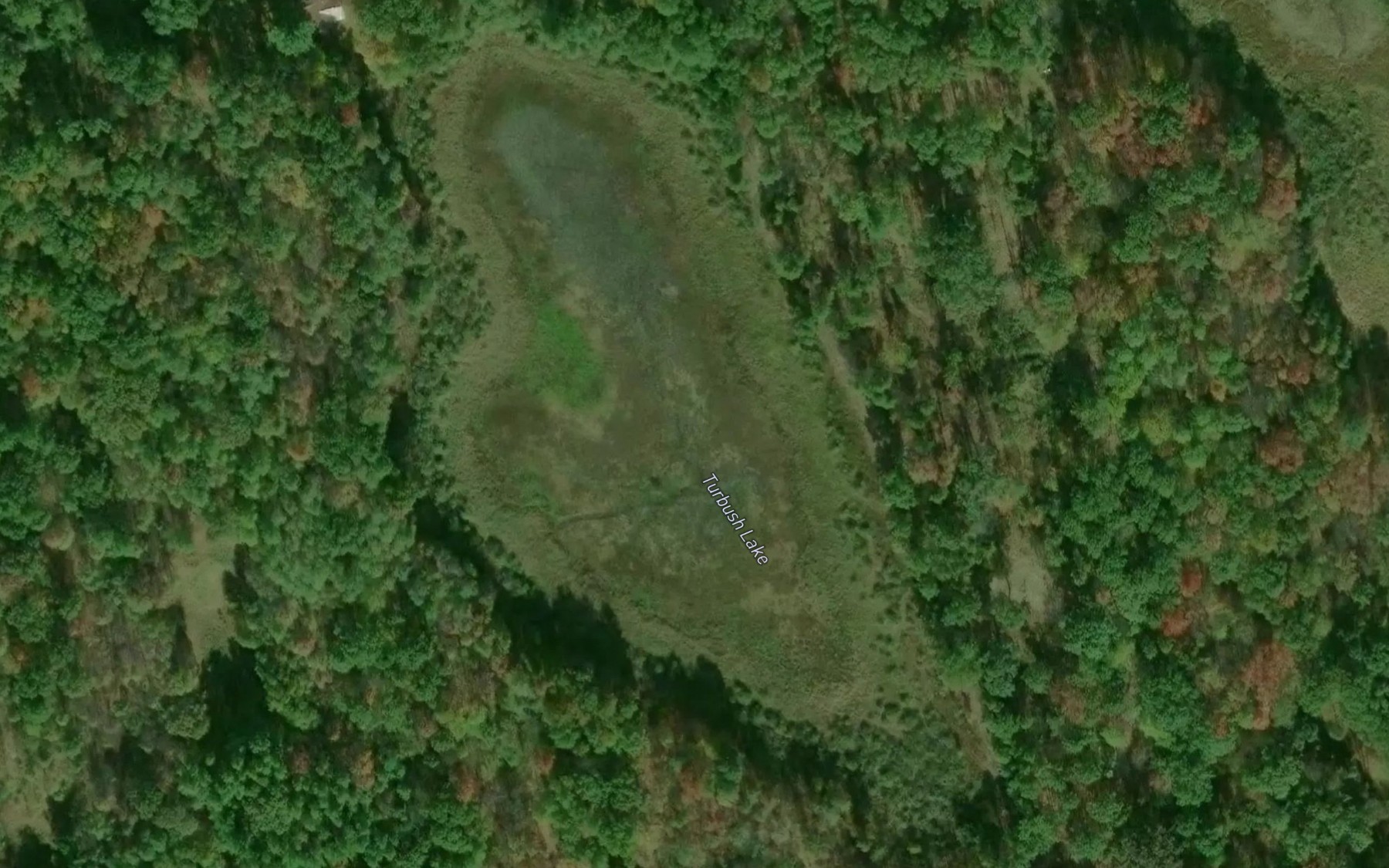 Satellite map of the Turbush Lake