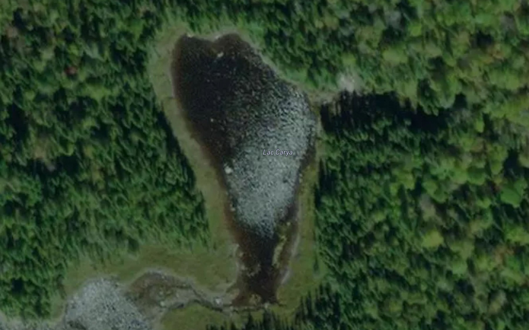 Satellite map of the Lac Carya